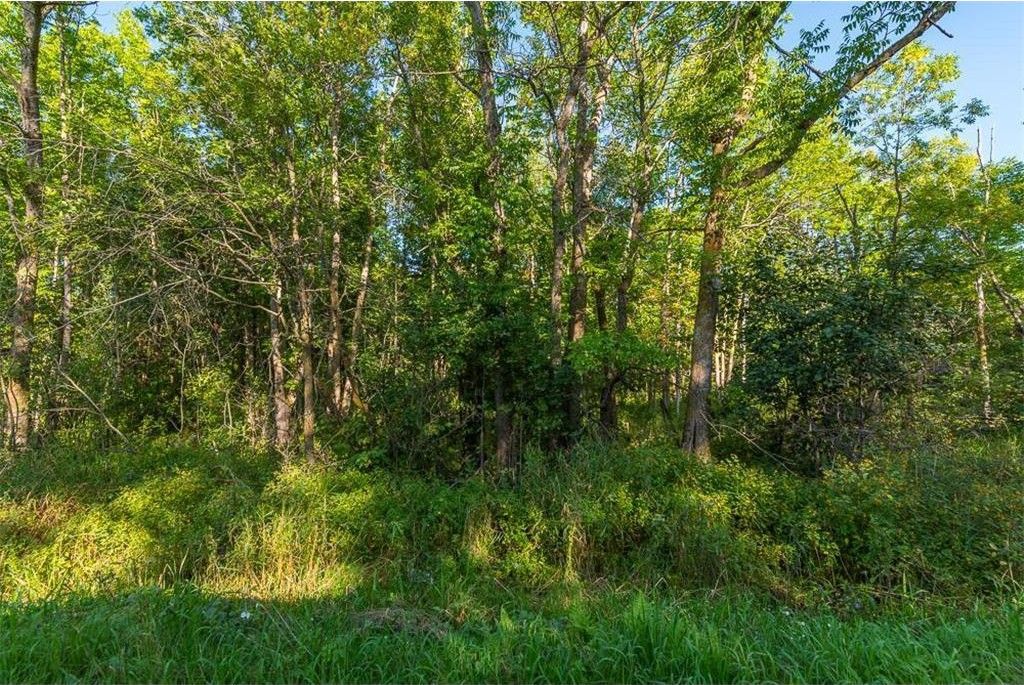 Poplar, Todd County, MN Undeveloped Land for sale Property ID