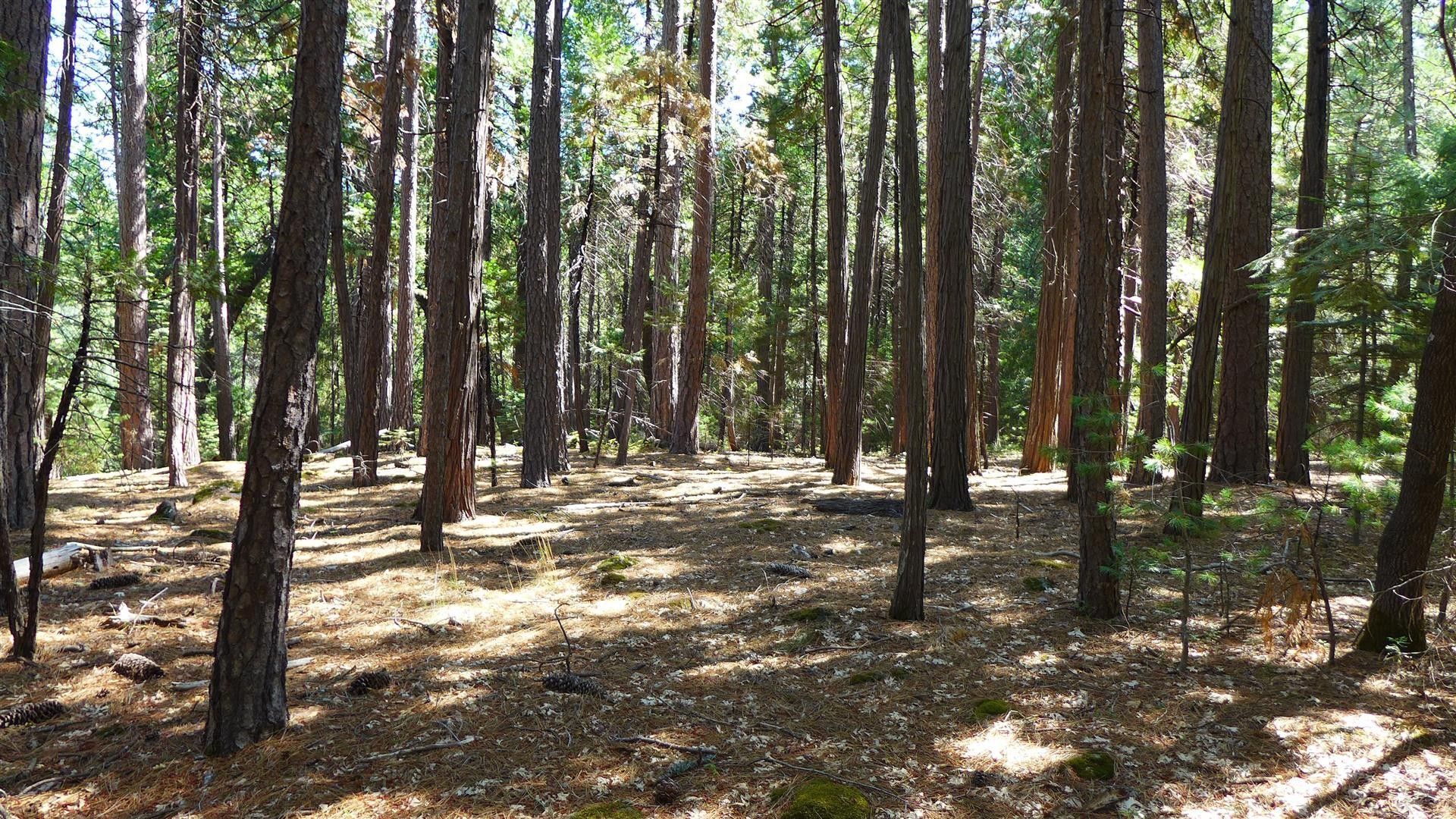 Shingletown, Shasta County, CA Undeveloped Land for sale Property ID
