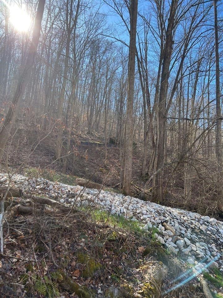6 AC Peaceful Garden Cemetery Road, Genoa, WV 25517 MLS 177056