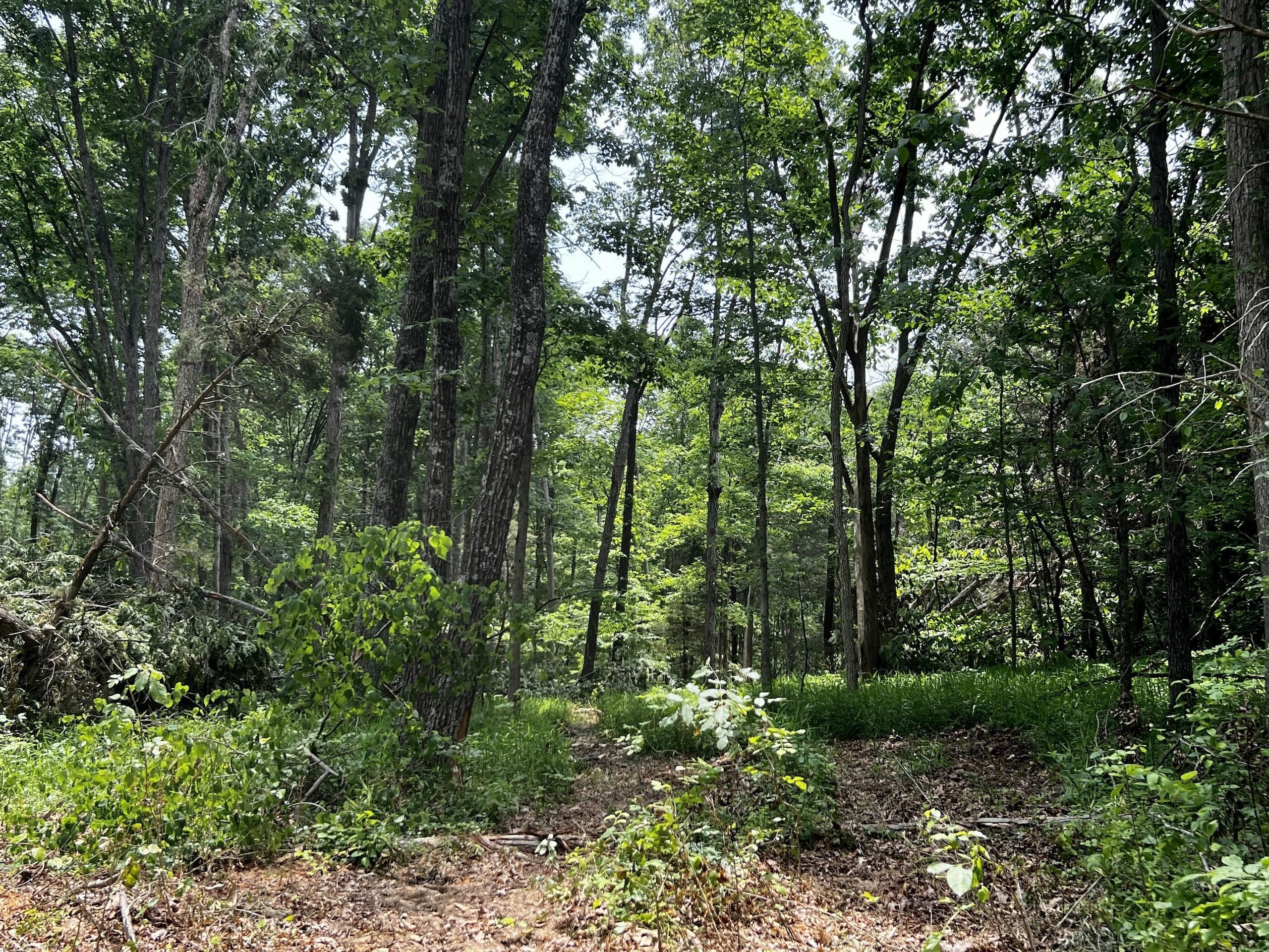 Paoli, Orange County, IN Hunting Property for sale Property ID