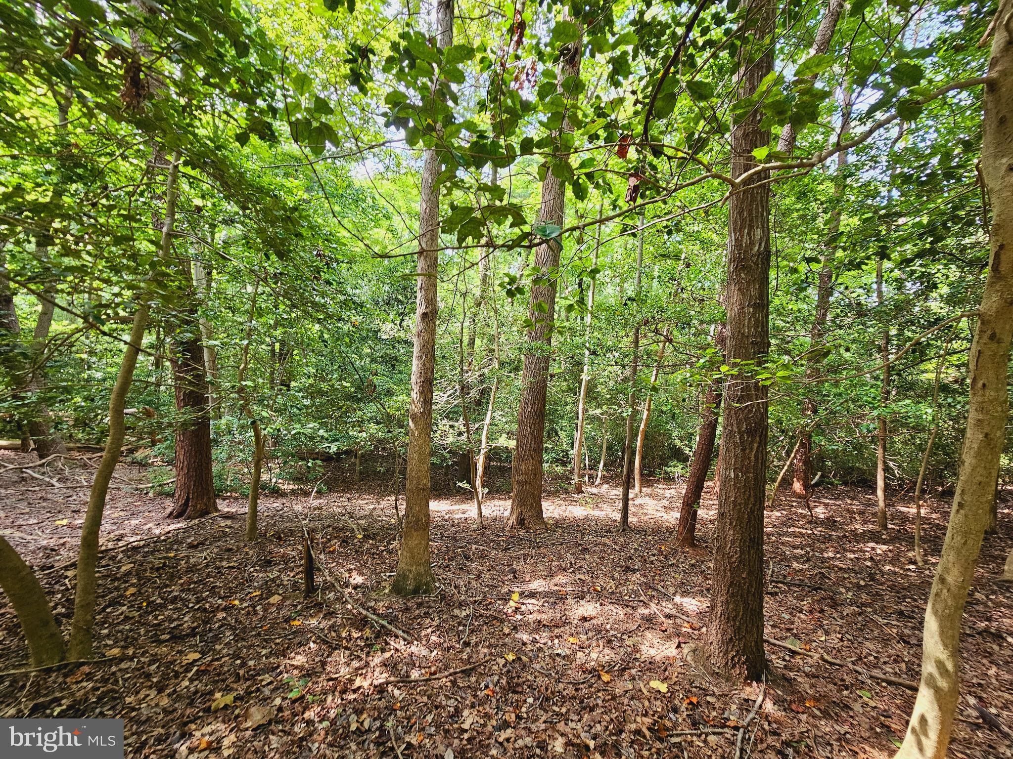 5730 MACKALL, Saint Leonard, MD 20685 MLS MDCA2012850 LandWatch