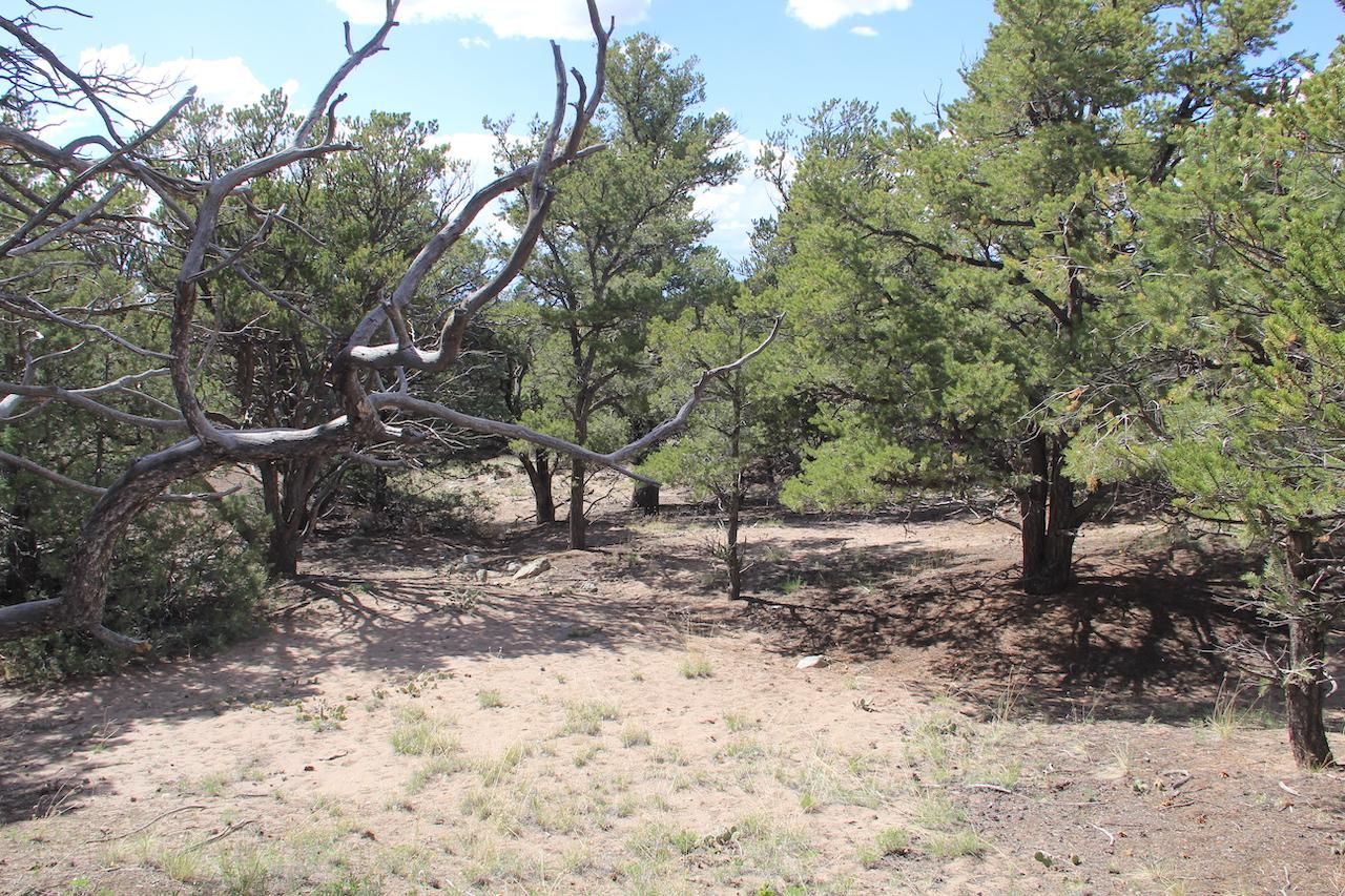Crestone, Saguache County, CO Recreational Property, Undeveloped Land