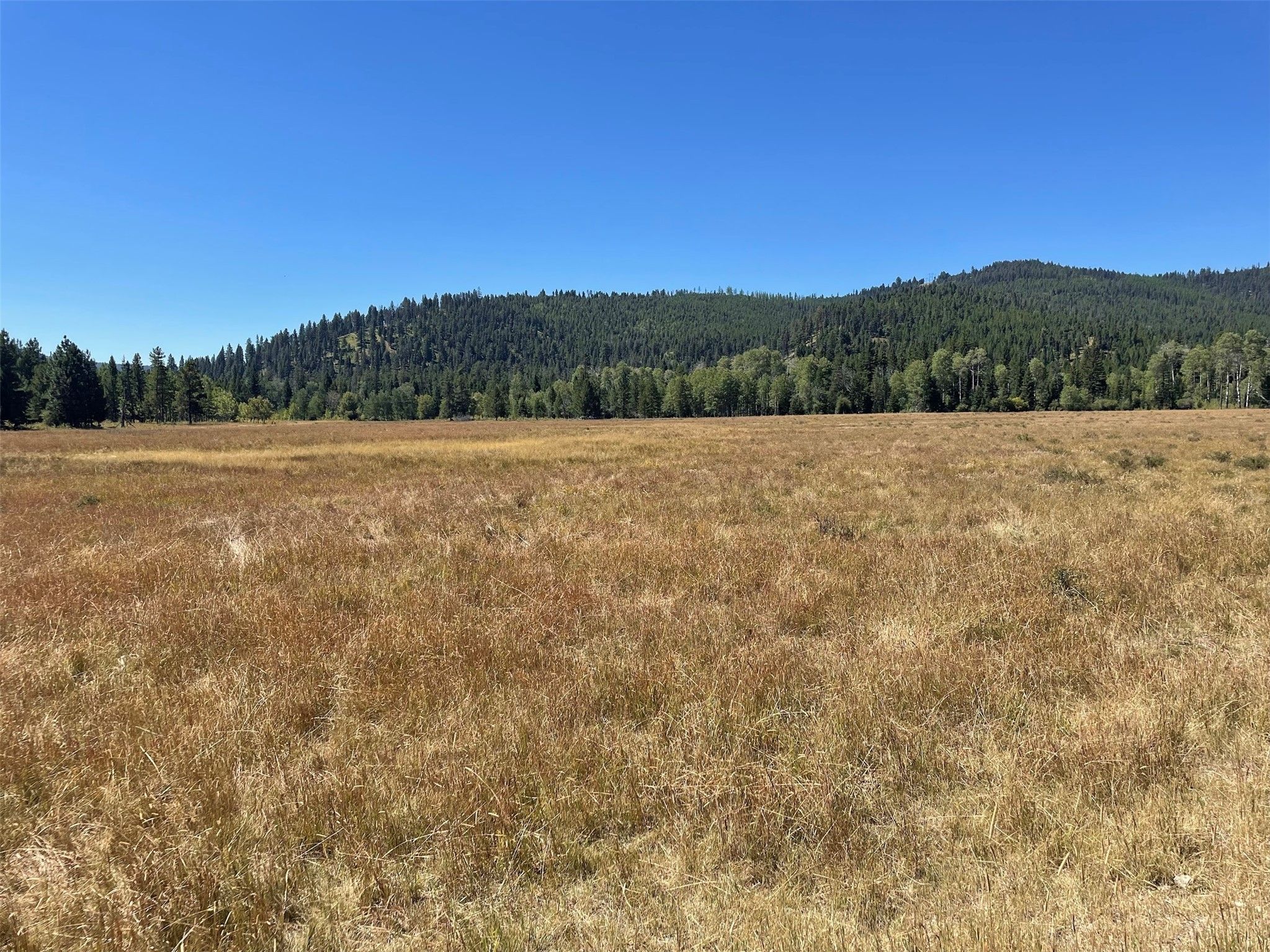 Helmville, Powell County, MT Farms and Ranches for sale Property ID