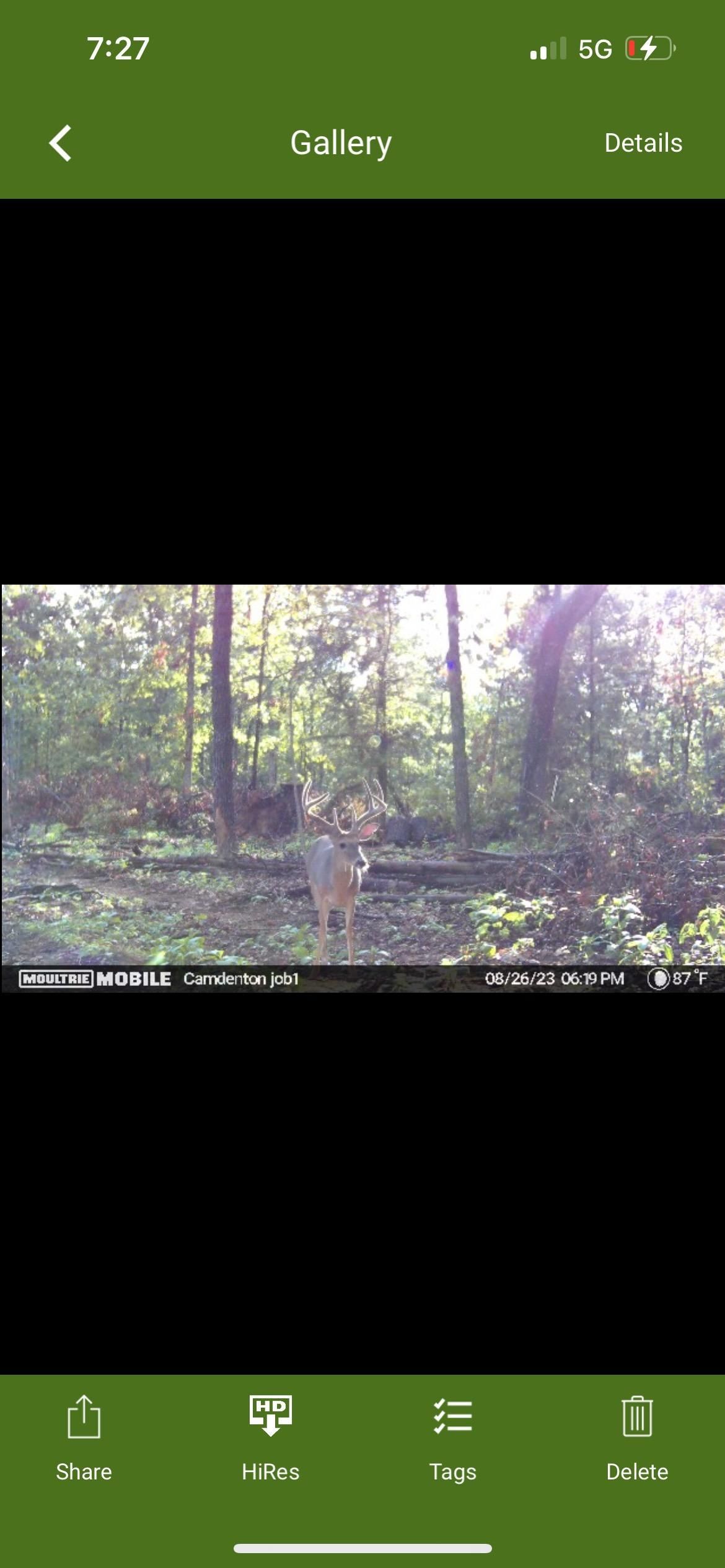 Roach, Camden County, MO Undeveloped Land for sale Property ID