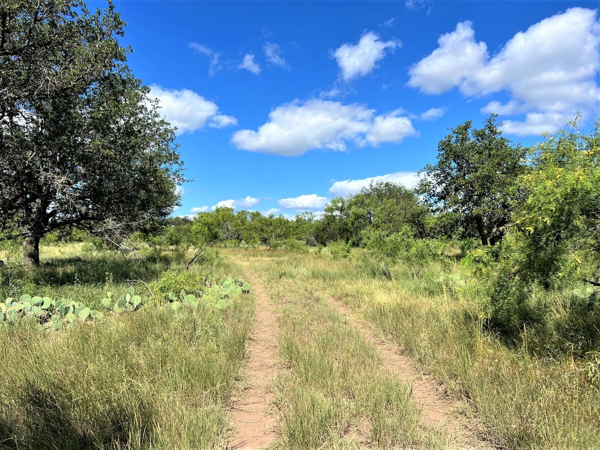 Menard, Menard County, TX Farms and Ranches, Recreational Property