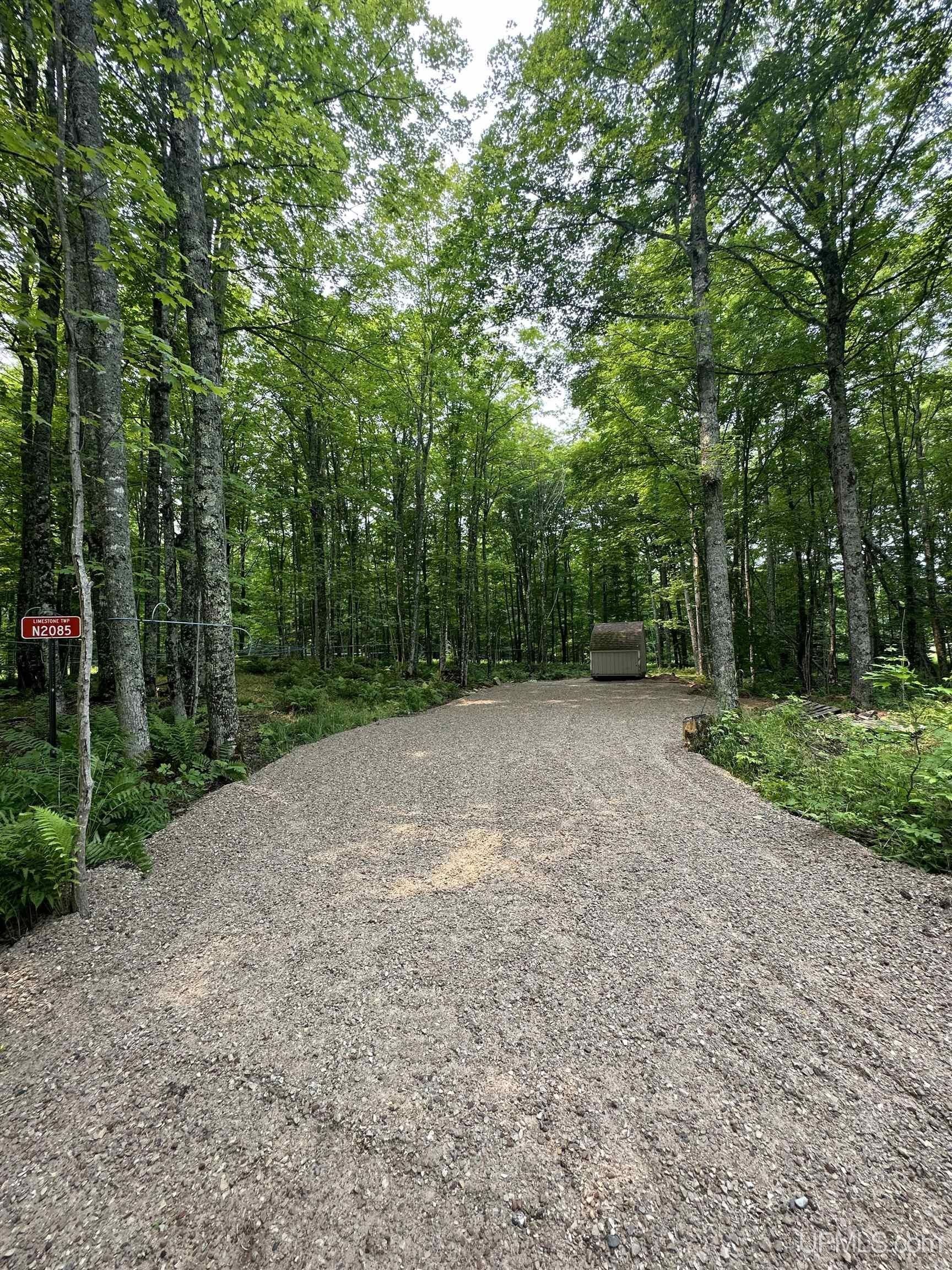Trenary, Alger County, MI Undeveloped Land for sale Property ID