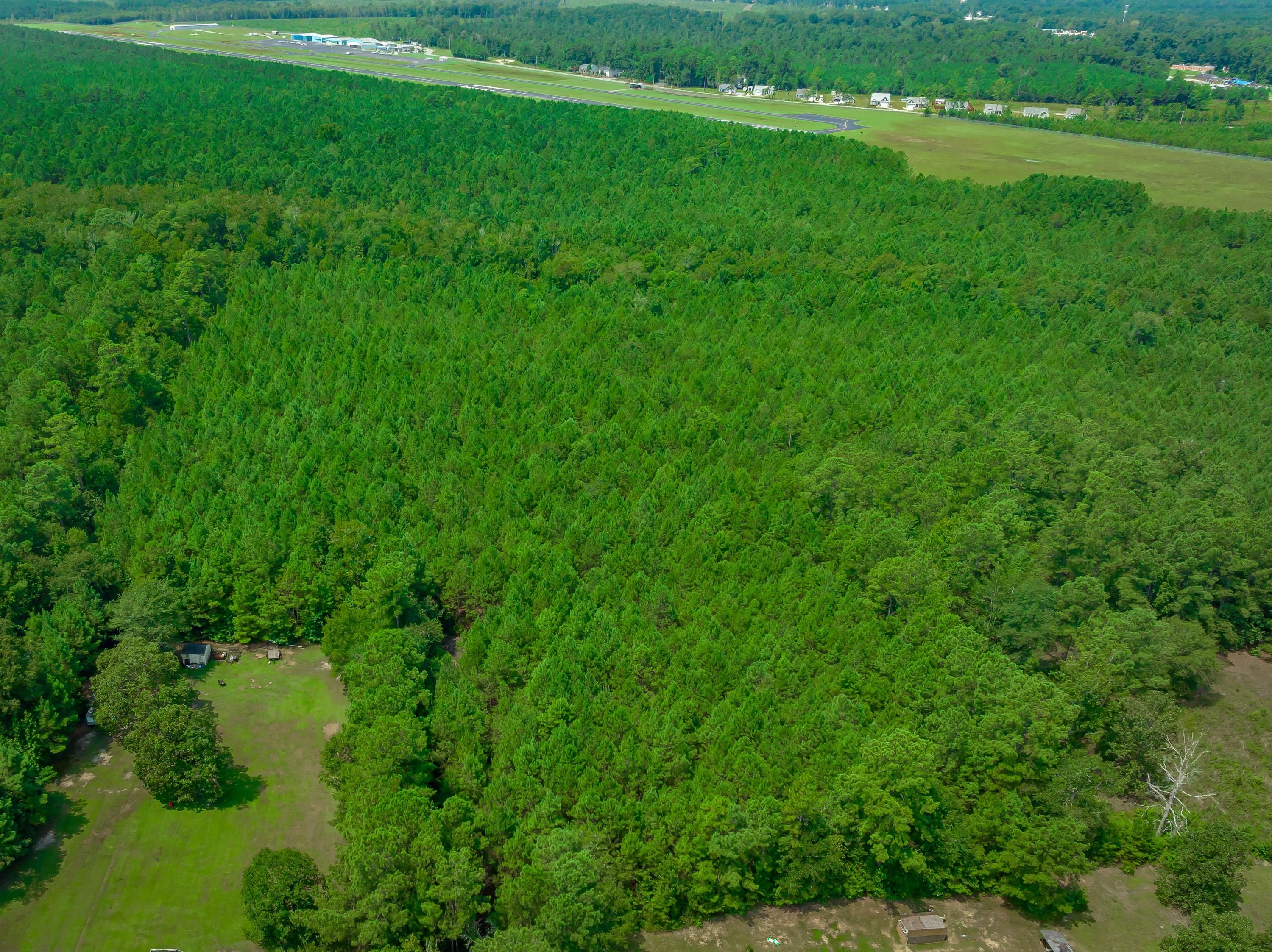 Conway, Horry County, SC Recreational Property, Timberland Property