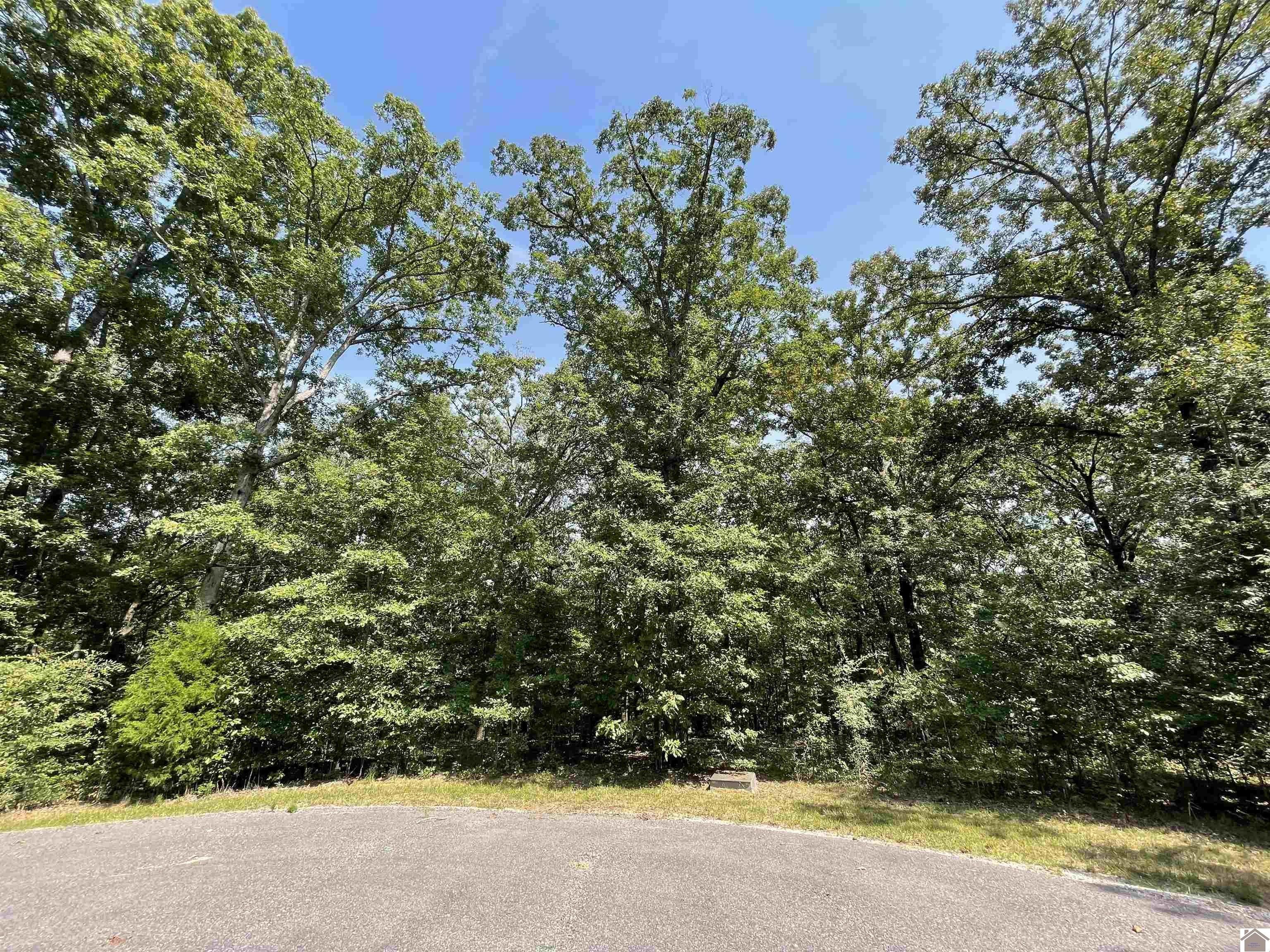 Murray, Calloway County, KY Undeveloped Land, Homesites for sale