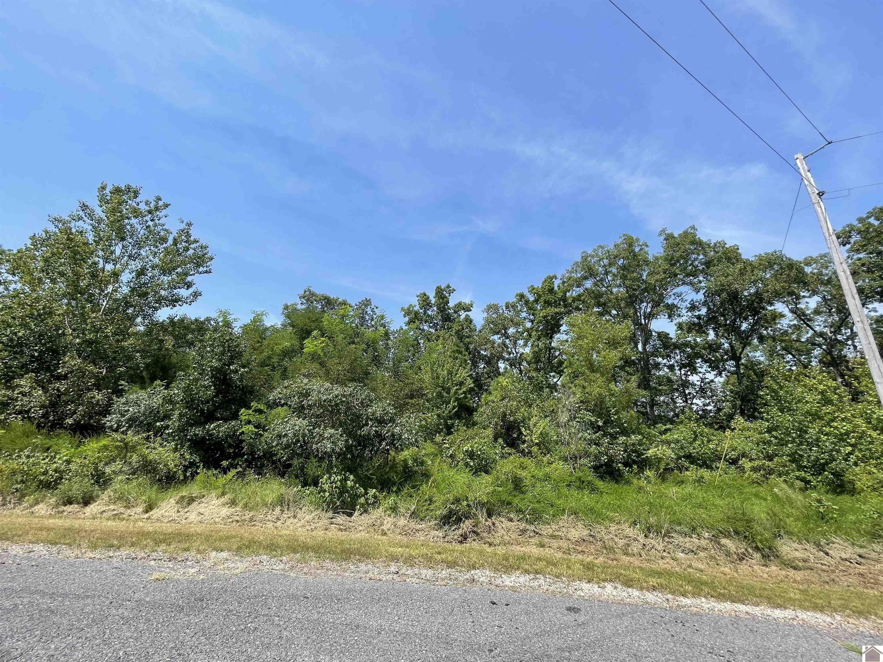 Murray, Calloway County, KY Undeveloped Land, Homesites for sale