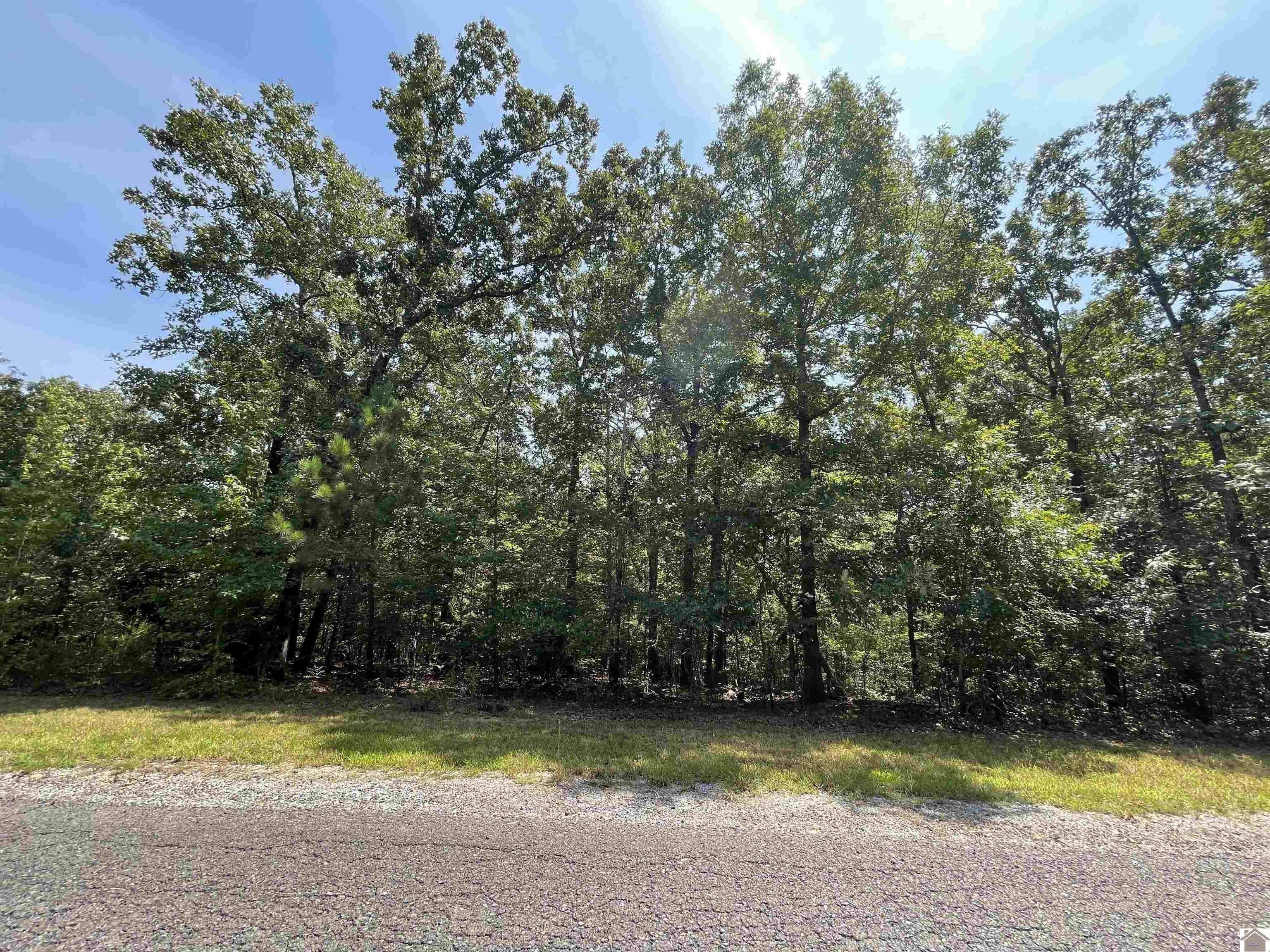 Murray, Calloway County, KY Undeveloped Land, Homesites for sale