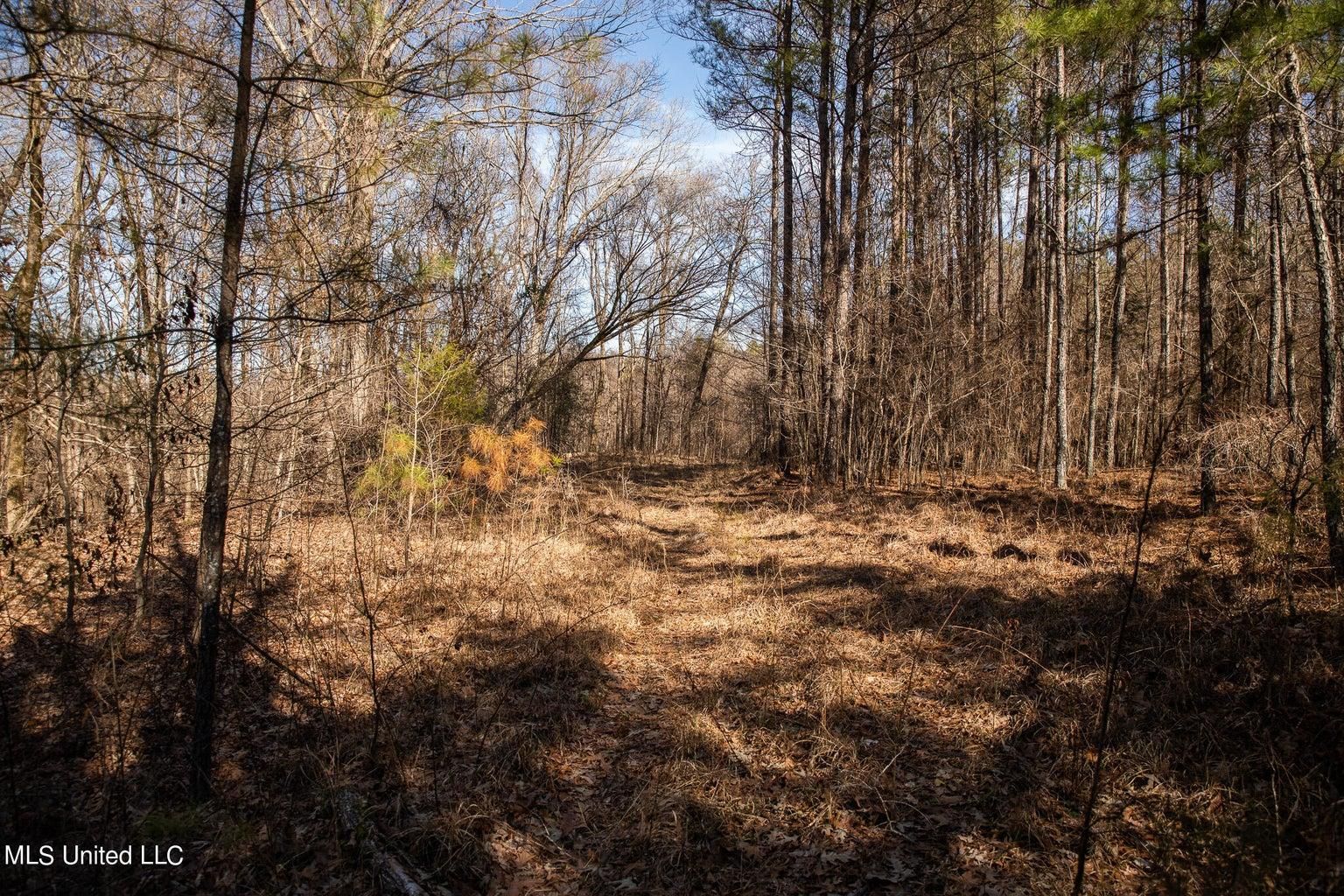 Greenwood, Carroll County, MS Recreational Property, Undeveloped Land, Hunting Property for sale