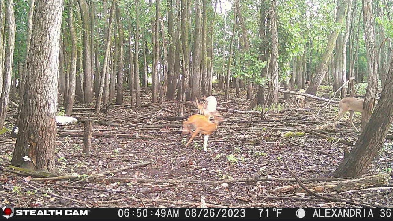 Alexandria, Clark County, MO Farms and Ranches, Recreational Property