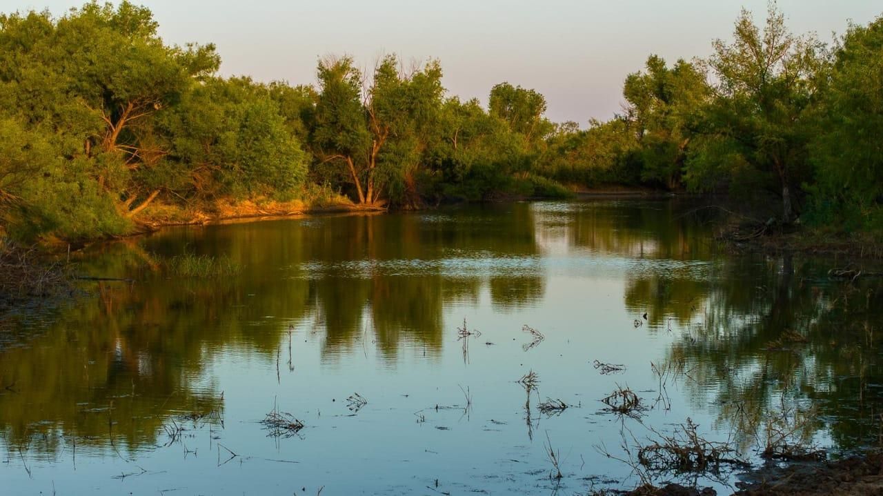 Jean, Young County, TX Farms and Ranches, Recreational Property, Hunting Property for sale