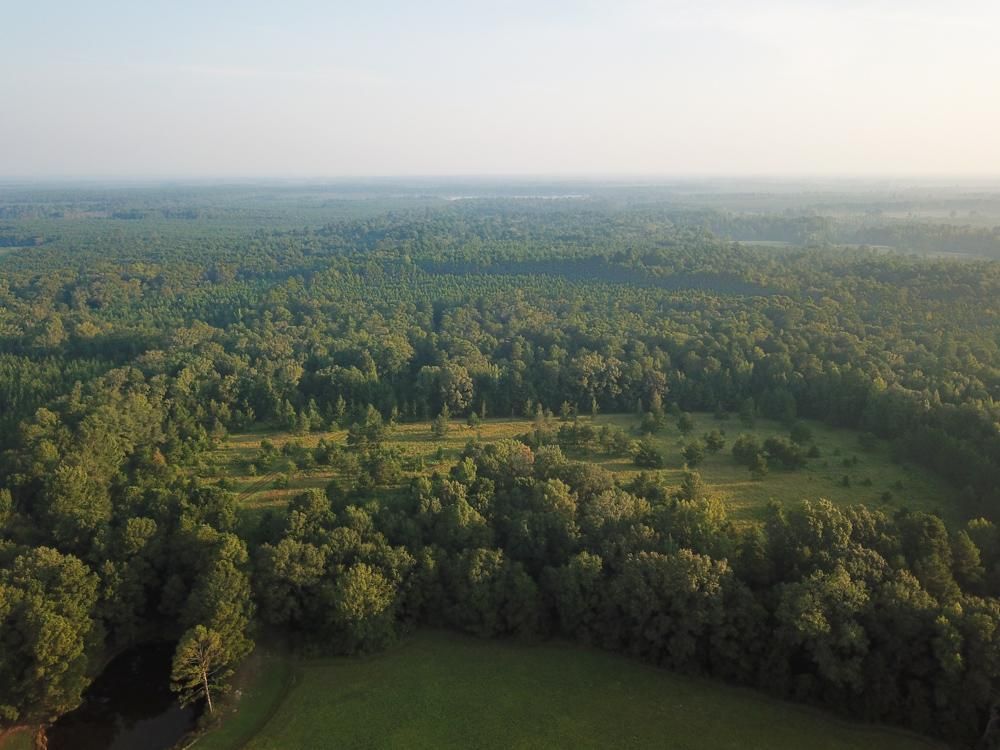 Hilo, Bradley County, AR Farms and Ranches, Recreational Property