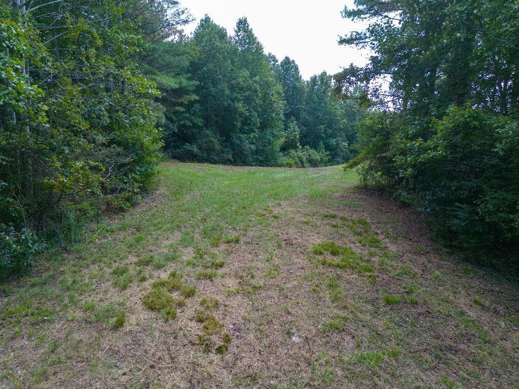 Double Springs, Winston County, AL Undeveloped Land for sale Property