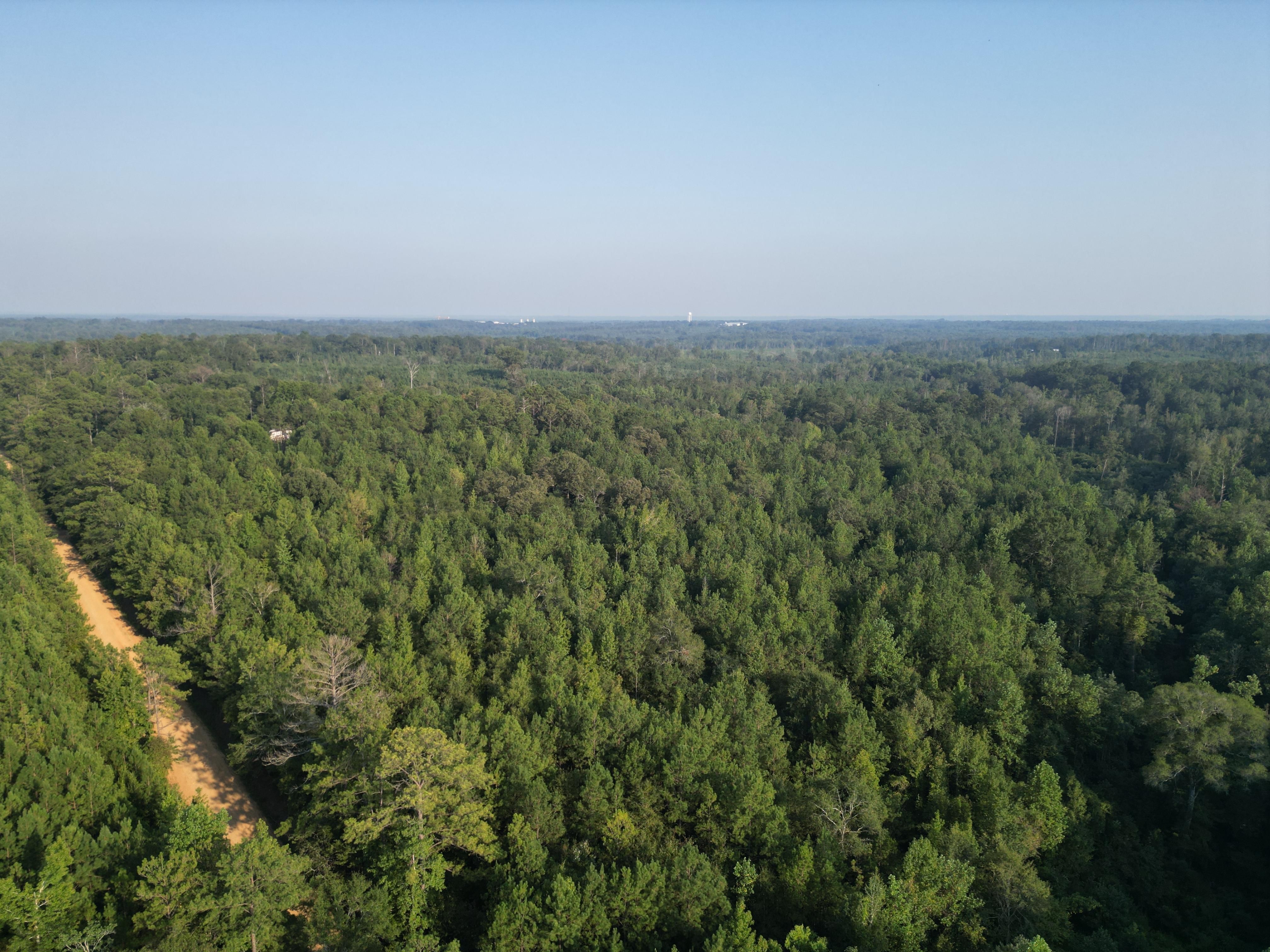 Troy, Pike County, AL Timberland Property, Undeveloped Land, Hunting