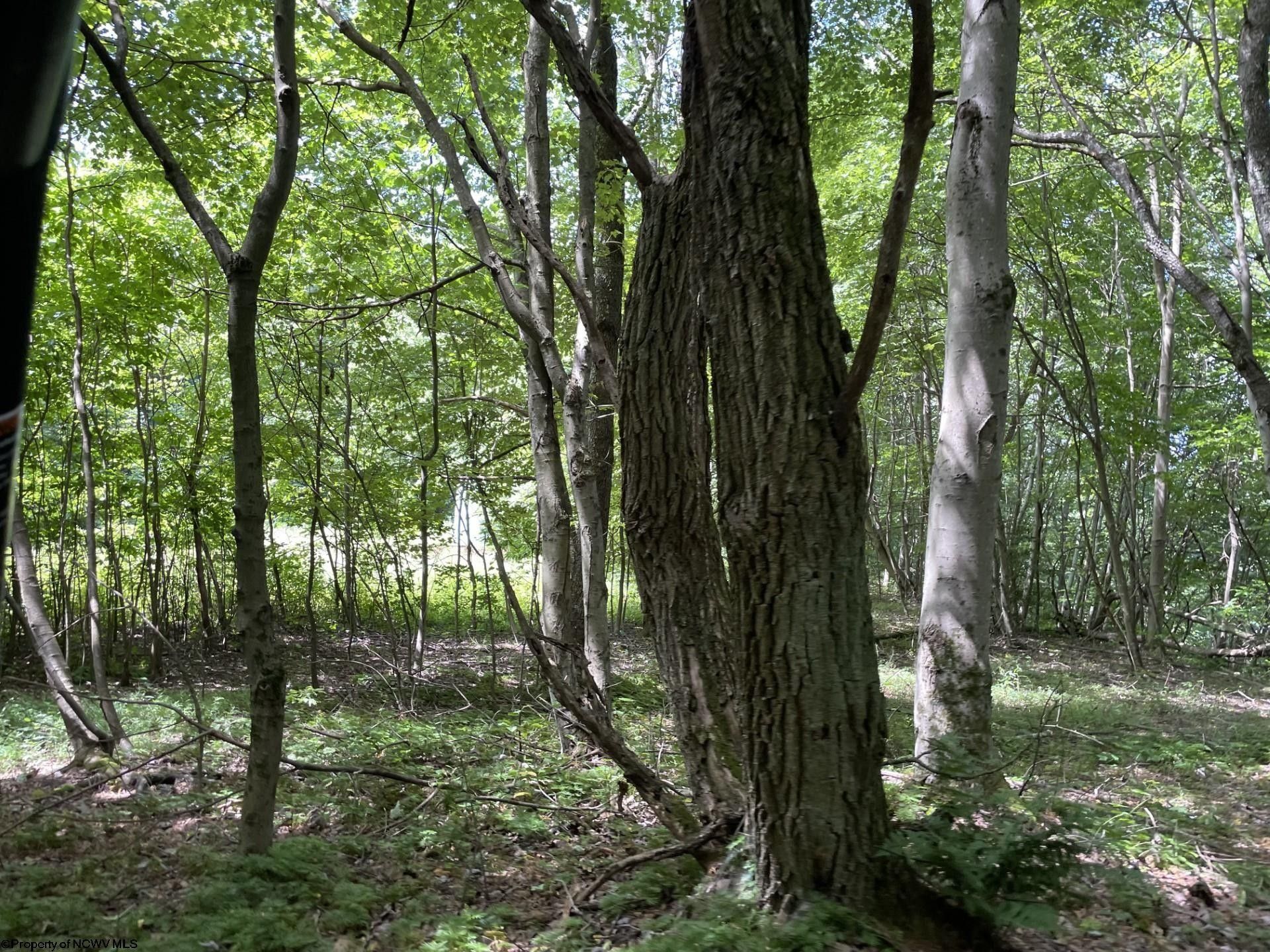 Kingwood, Preston County, WV Undeveloped Land for sale Property ID 417491152 LandWatch