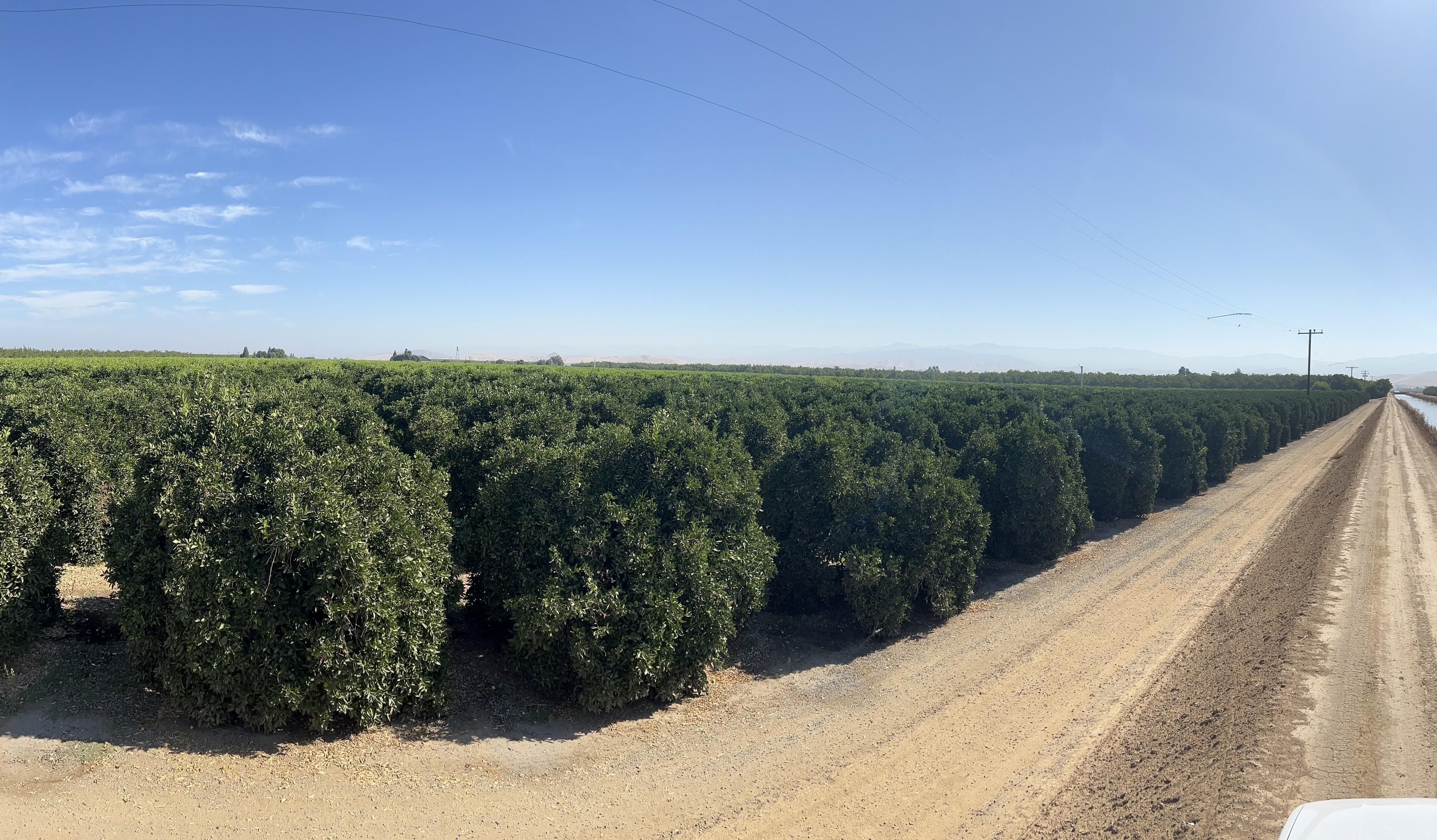 40 acres in Strathmore, CA, 93267 LandWatch