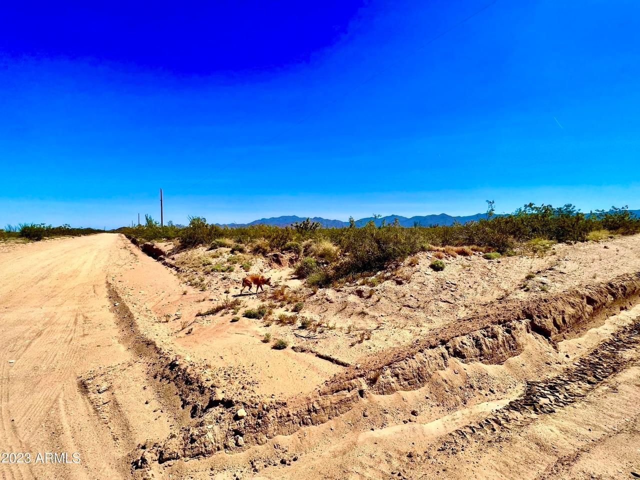 Yucca, Mohave County, AZ Farms and Ranches, Undeveloped Land, Horse