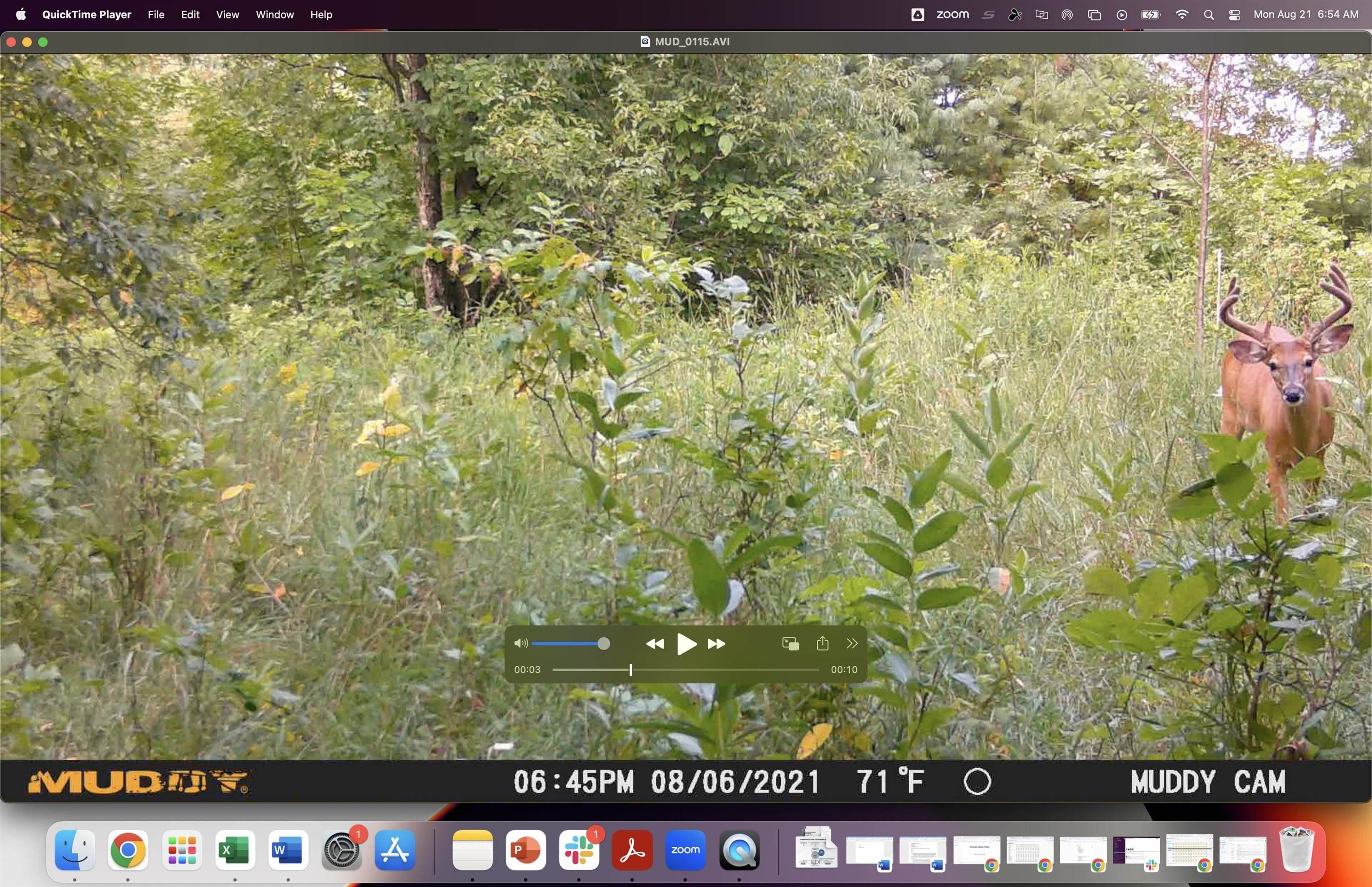 Armstrong Creek, Forest County, WI Undeveloped Land for sale Property