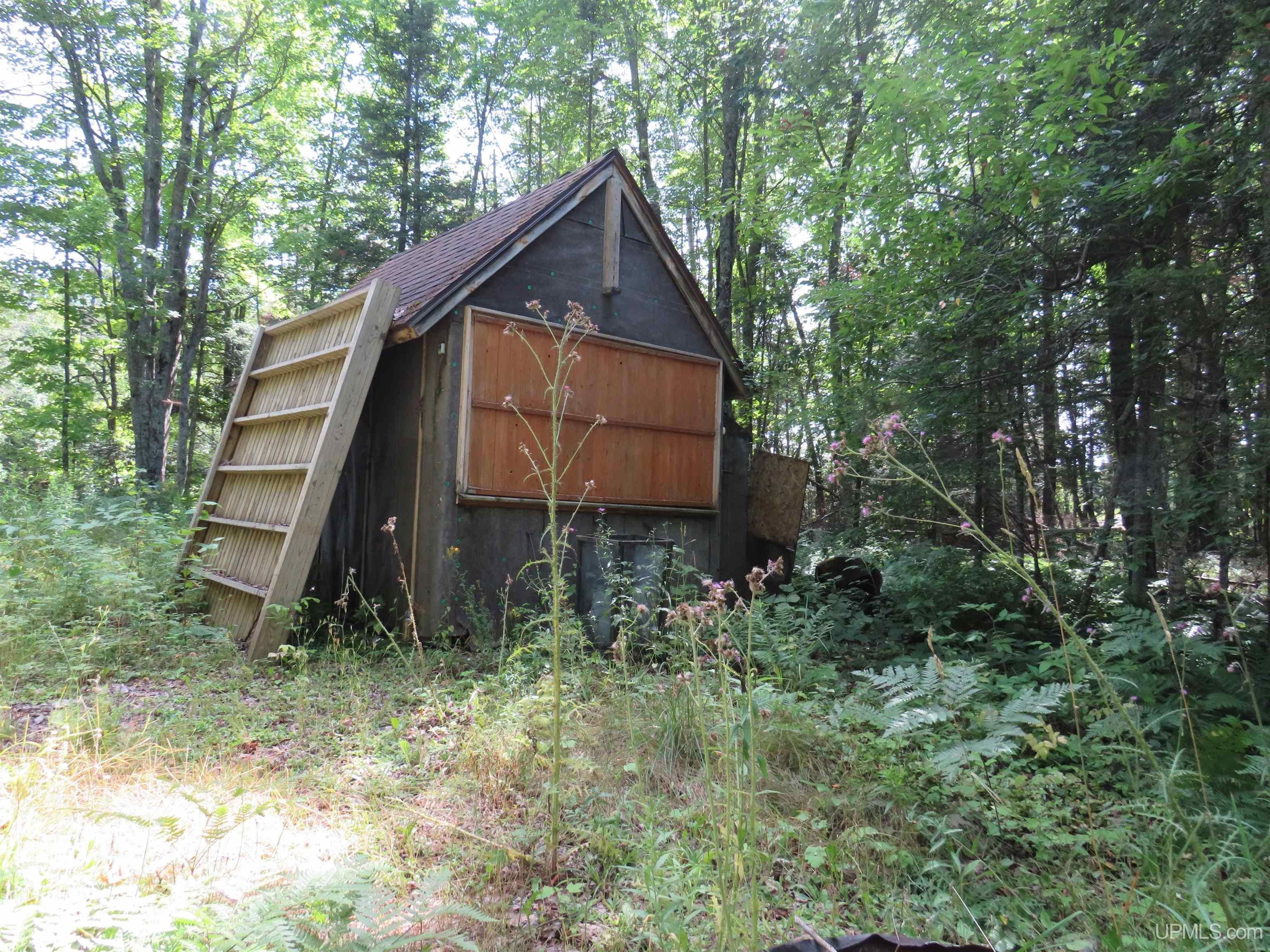 Watton, Baraga County, MI Undeveloped Land for sale Property ID