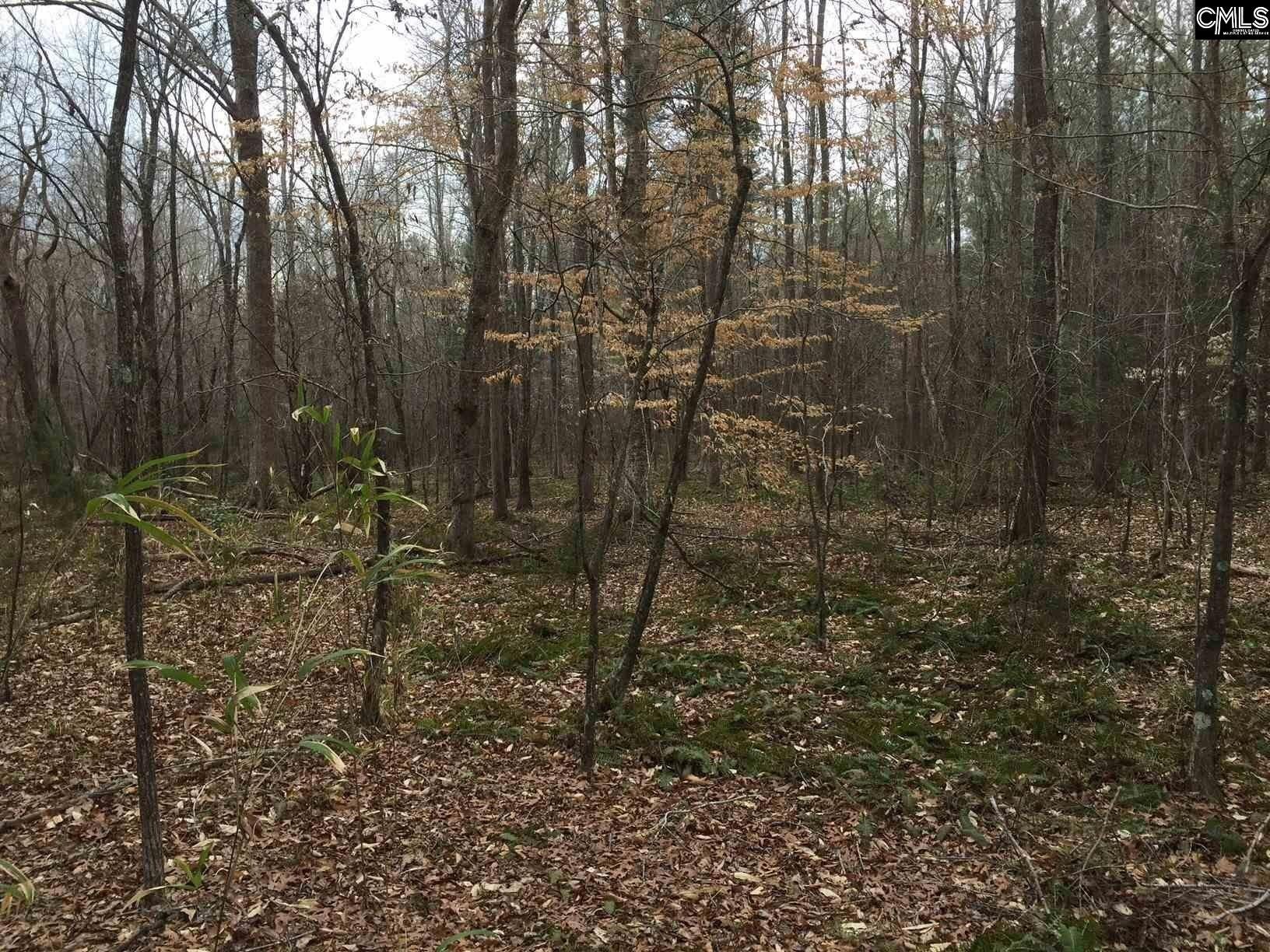 Blythewood, Richland County, SC Undeveloped Land for sale Property ID
