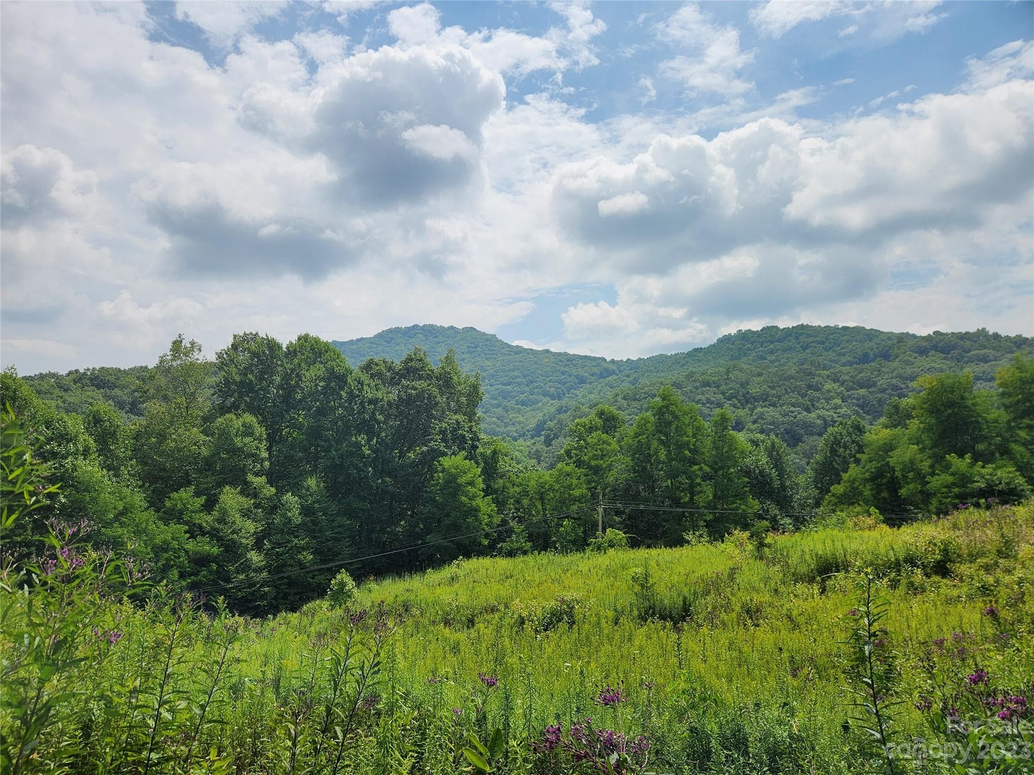 Newland, Avery County, NC Undeveloped Land for sale Property ID