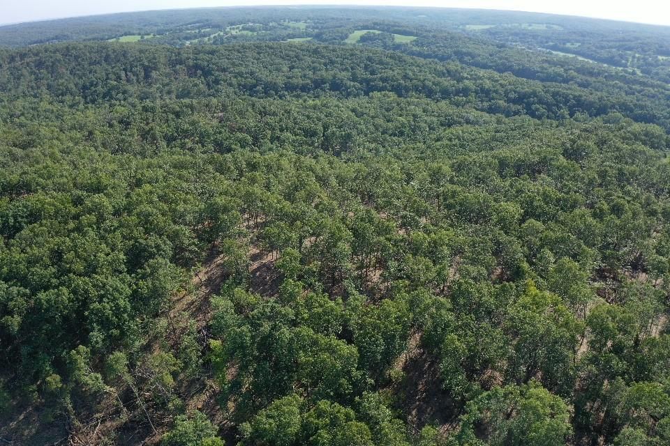 Roach, Camden County, MO Recreational Property for sale Property ID