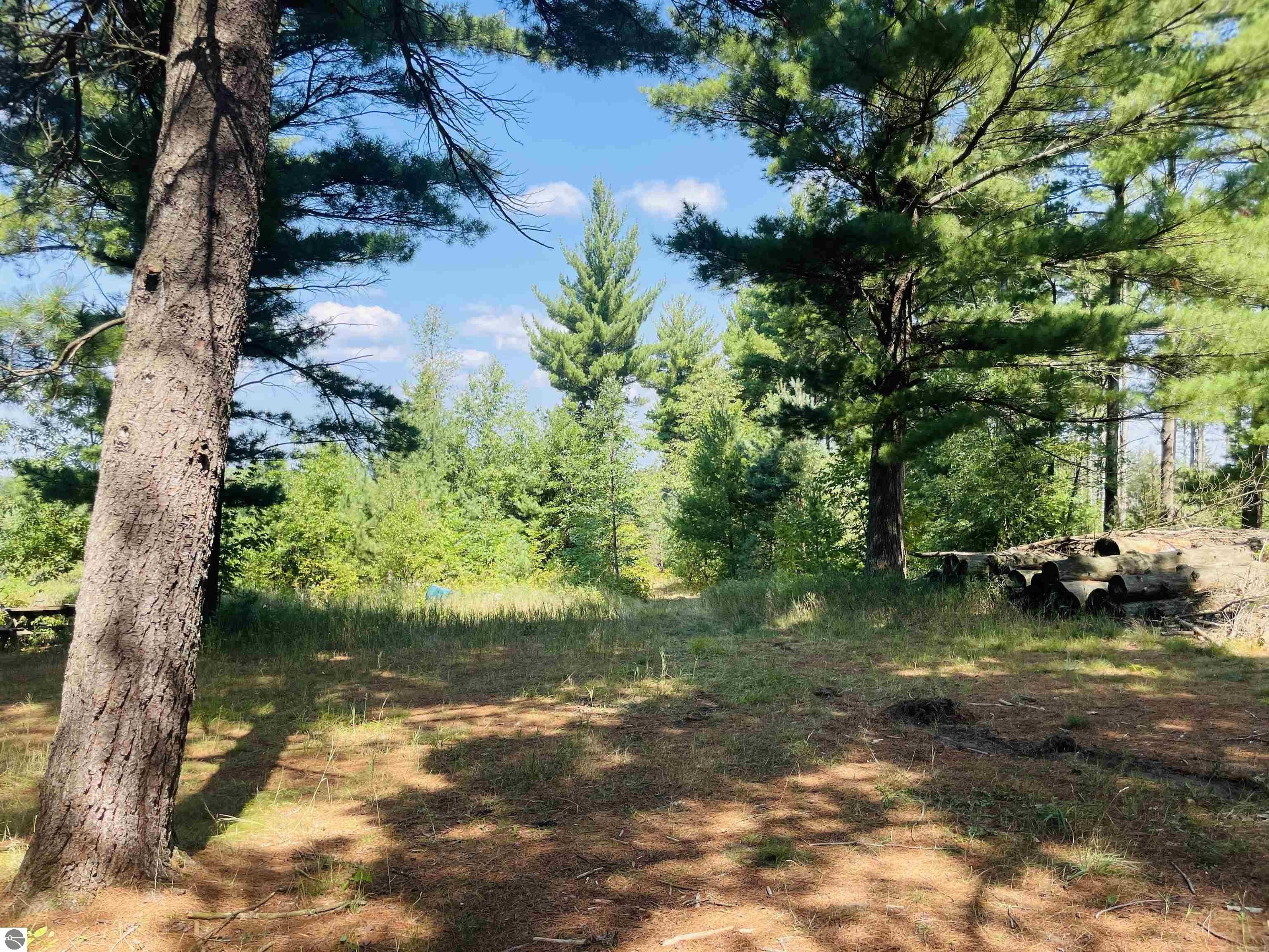 Manton, Wexford County, MI Undeveloped Land for sale Property ID
