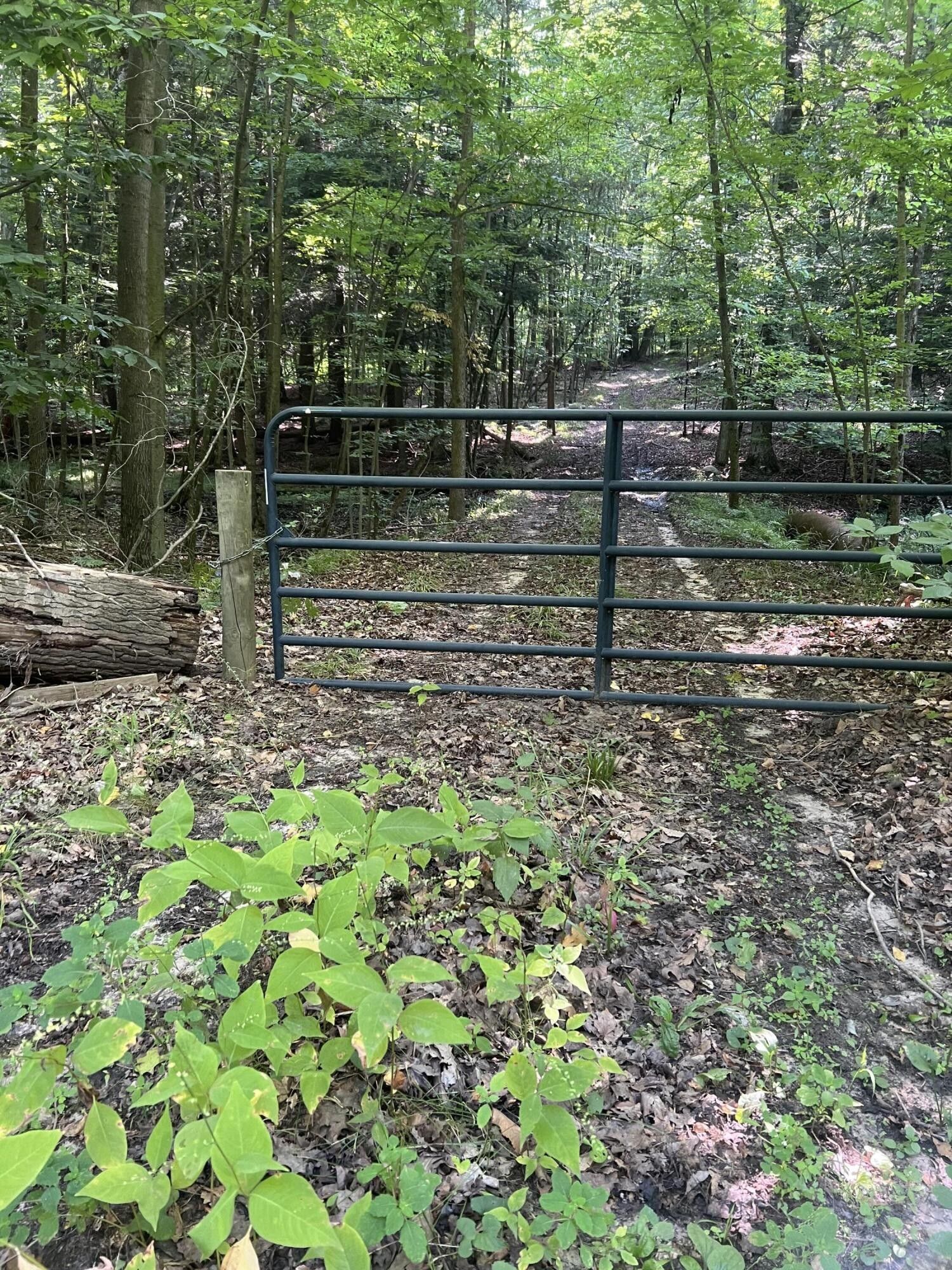 Branch, Mason County, MI Undeveloped Land, Lakefront Property