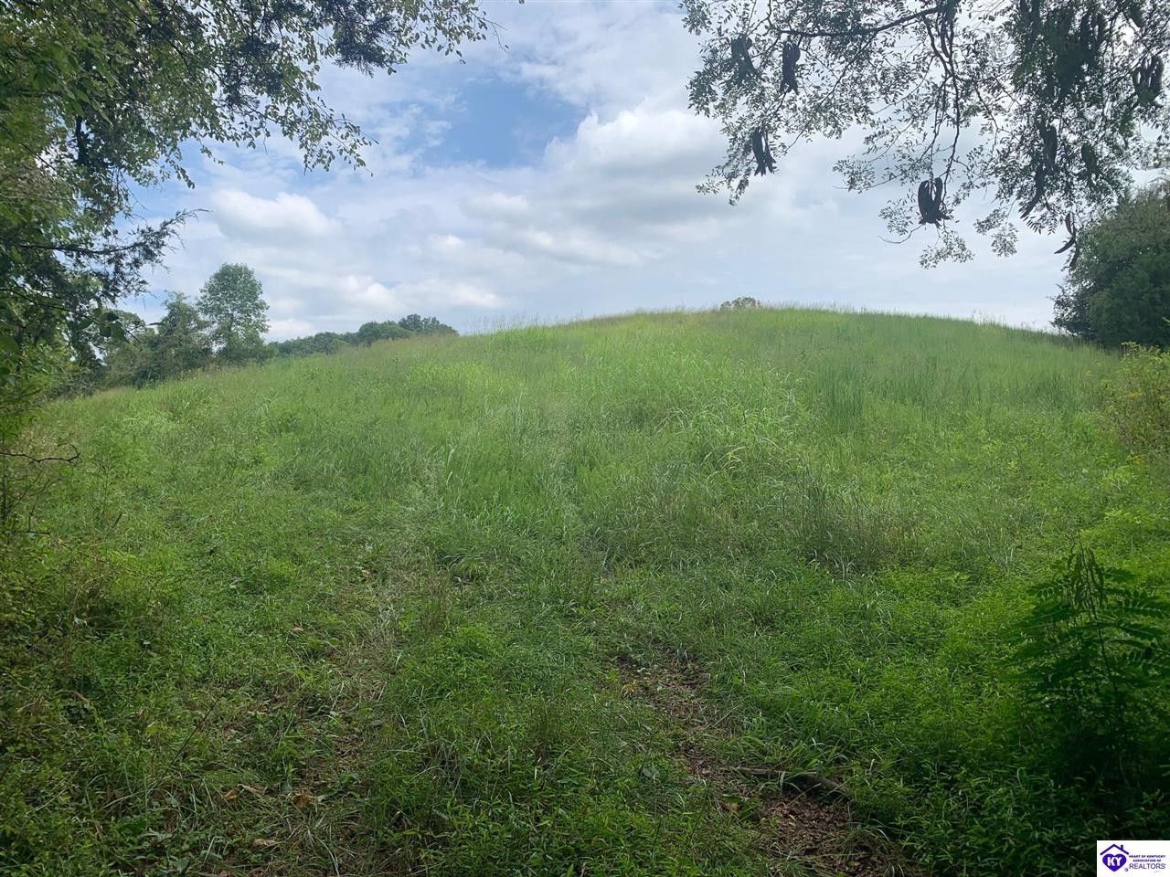 Greensburg, Green County, KY Farms and Ranches for sale Property ID