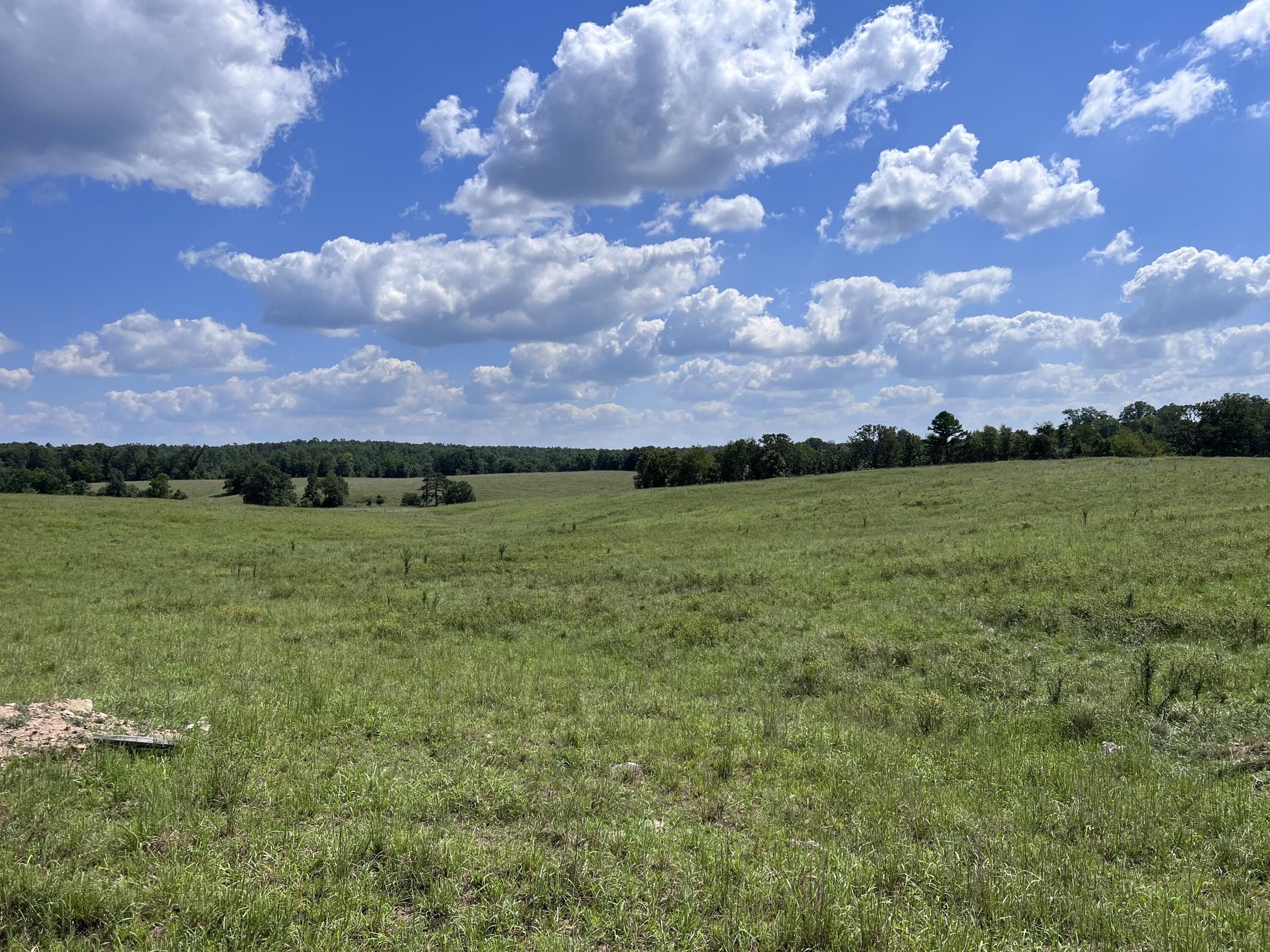 Summersville, Shannon County, MO Undeveloped Land for sale Property ID