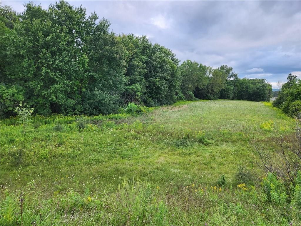 Tully, Cortland County, NY Undeveloped Land for sale Property ID