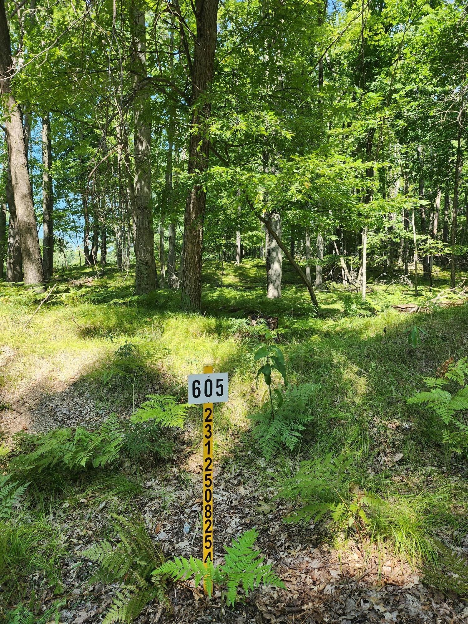 Canadian Lakes, Mecosta County, MI Homesites for sale Property ID