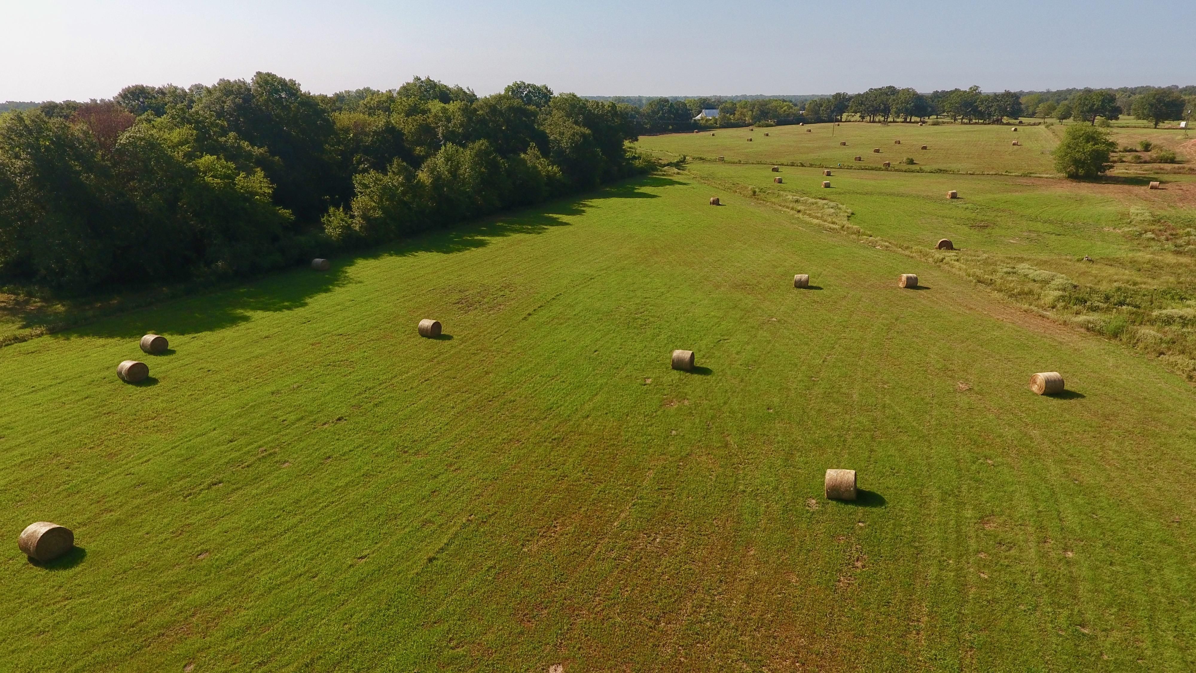 De Kalb, Bowie County, TX Farms and Ranches, Hunting Property for sale Property ID 417499007