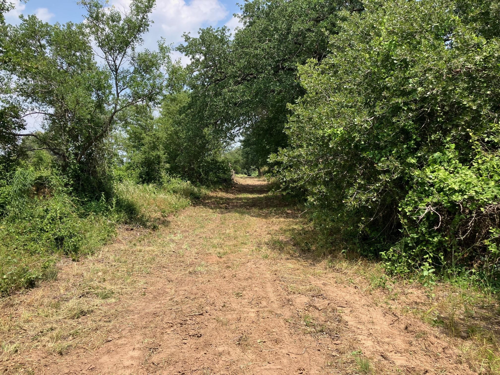 Highway 2247, Comanche, TX 76442 MLS 20418259 LandWatch