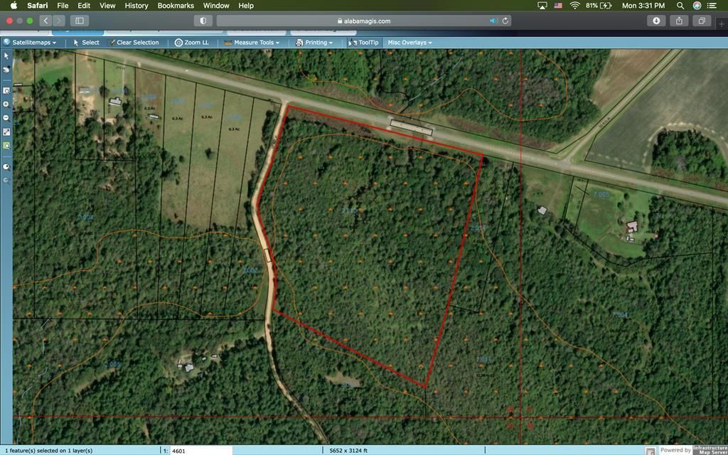 Alabama 10, Brundidge, AL 36010 MLS 25223 LandWatch