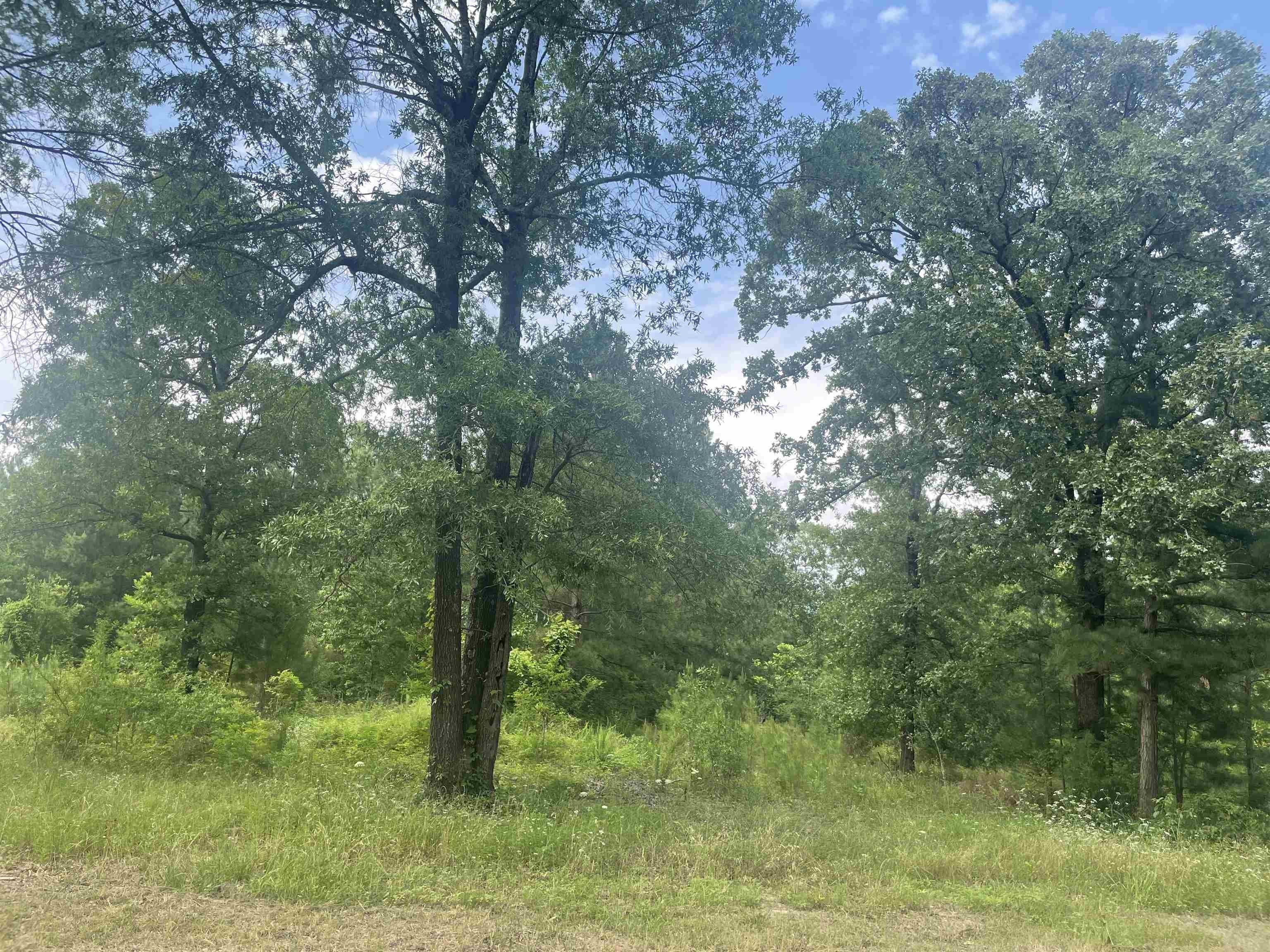 Clarksville, Red River County, TX Undeveloped Land, Homesites for sale