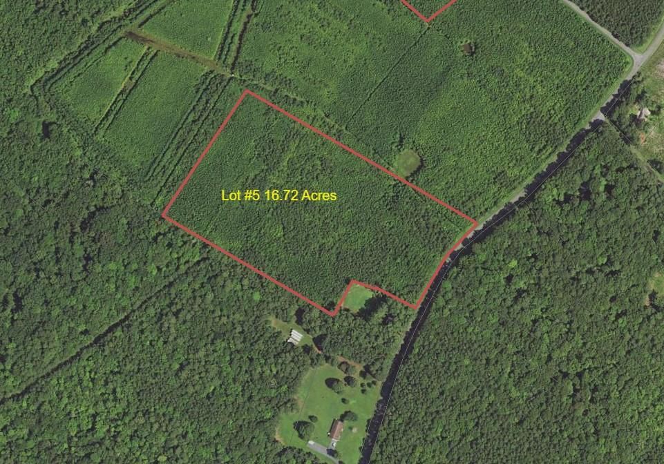 Snow Hill, Worcester County, MD Undeveloped Land, Hunting Property for