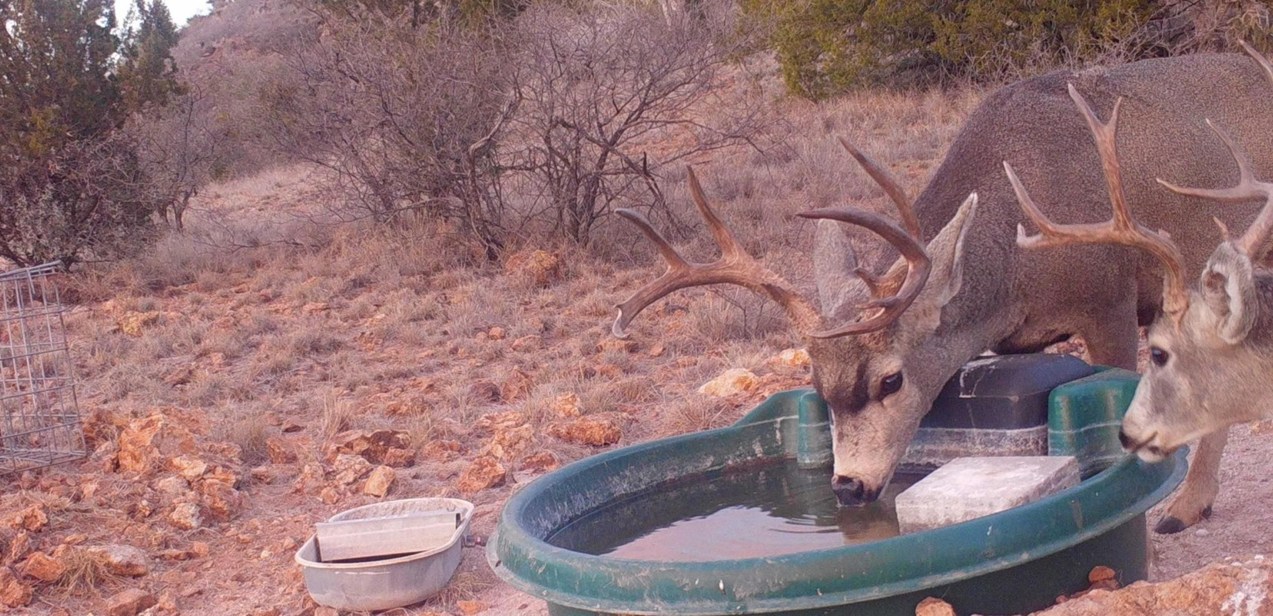 Presidio, Presidio County, TX Recreational Property, Undeveloped Land
