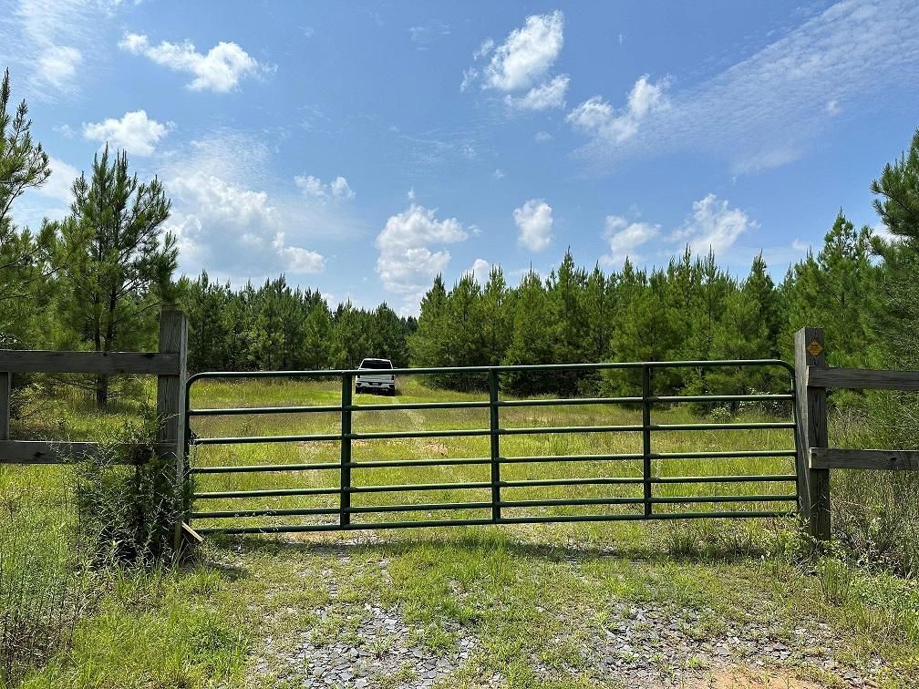 Dillwyn, Buckingham County, VA Timberland Property, Undeveloped Land