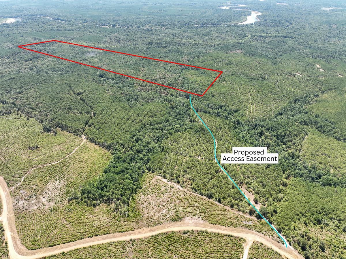 0 Private Road 6350, Newton, TX 75966 MLS