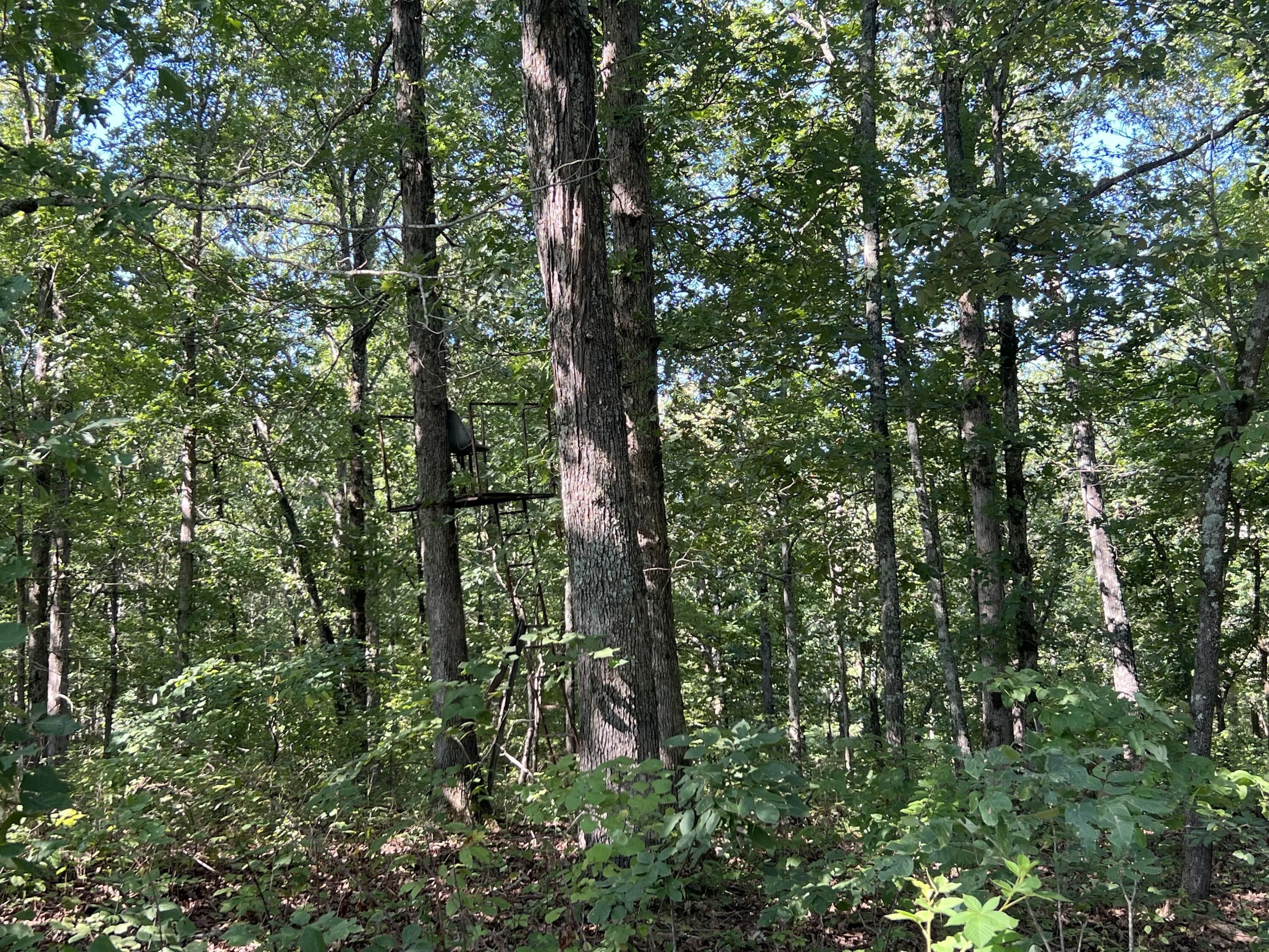 Hardy, Sharp County, AR Undeveloped Land for sale Property ID