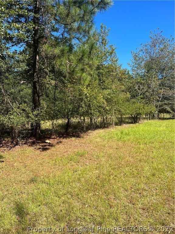 Fairmont, Robeson County, NC Undeveloped Land for sale Property ID