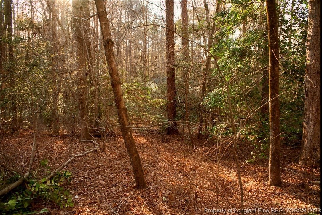 Sanford, Lee County, NC Undeveloped Land, Homesites for sale Property