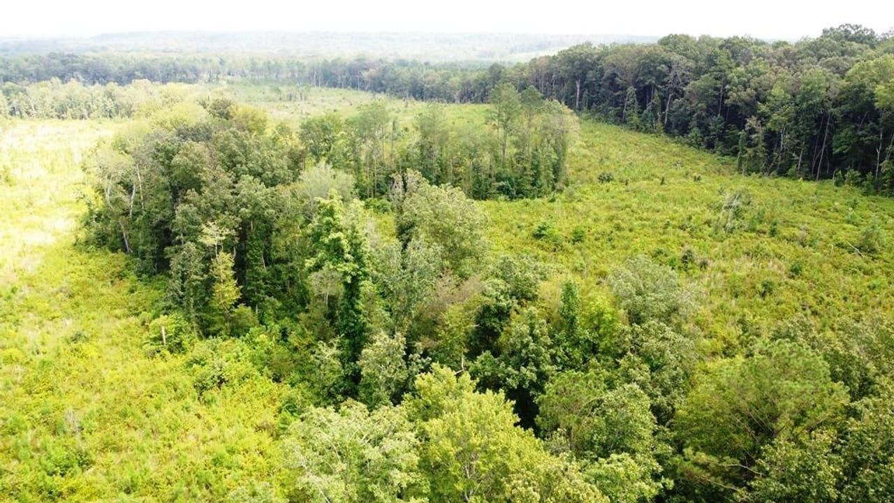 Tishomingo, Tishomingo County, MS Recreational Property, Timberland