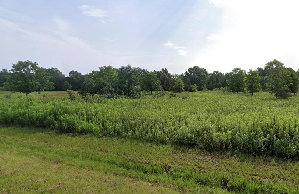 Leslie, Sumter County, GA Farms and Ranches, Homesites for sale