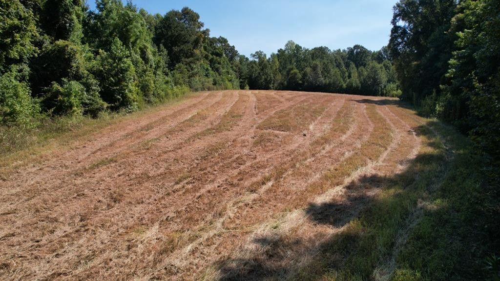 Natchez, Adams County, MS Undeveloped Land for sale Property ID