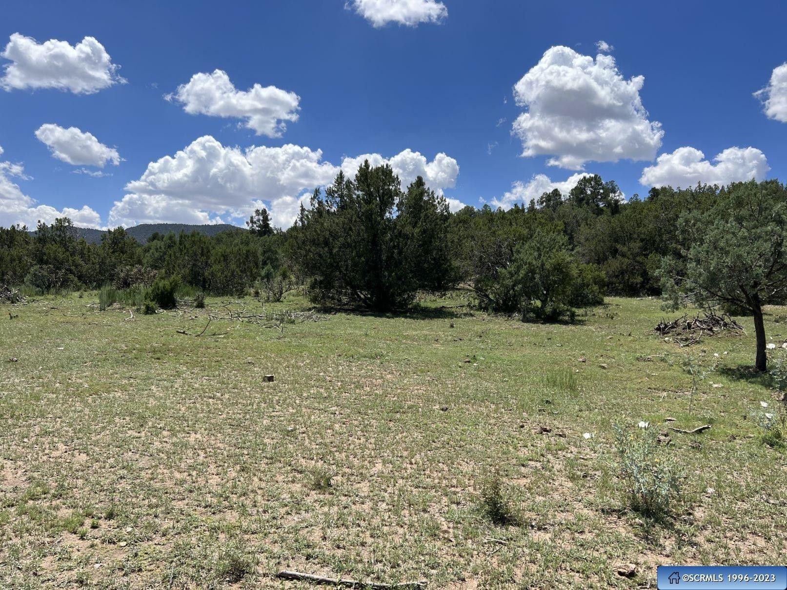 Mimbres, Grant County, NM Farms and Ranches for sale Property ID