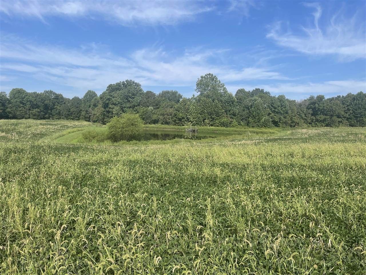 Brownsville, Edmonson County, KY Undeveloped Land for sale Property ID